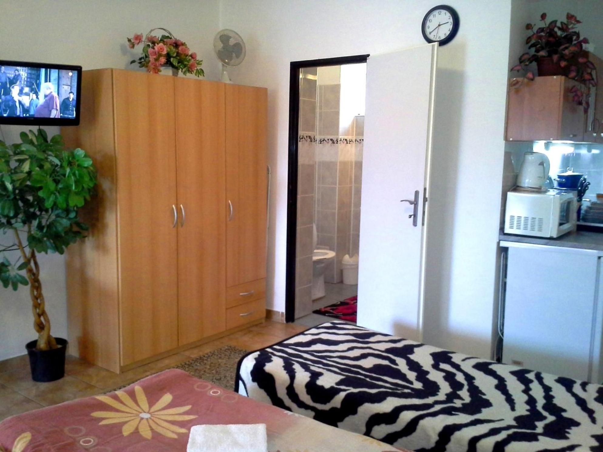 Studio with Terrace photo 3