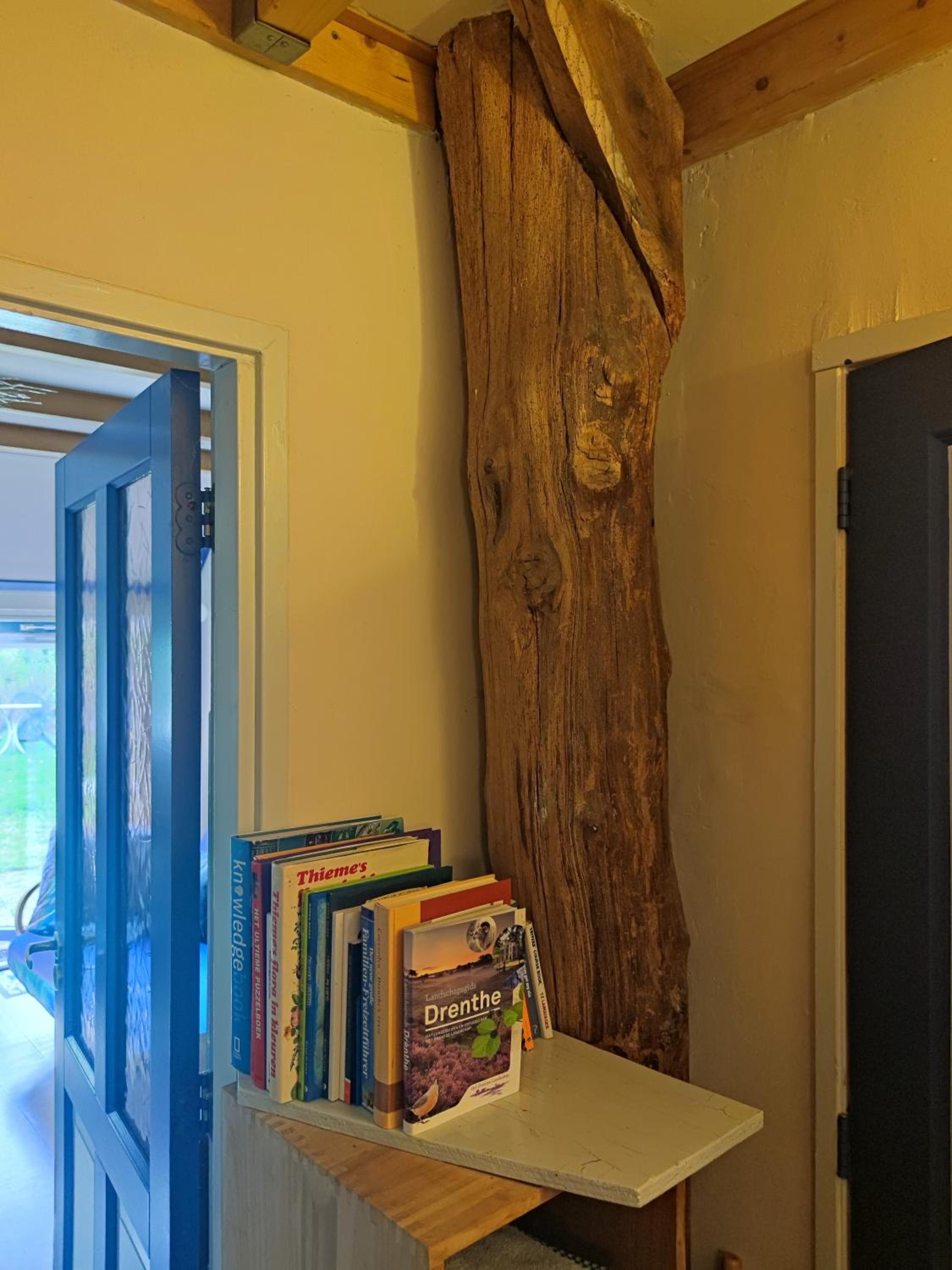 One-Bedroom Apartment - Photo 10