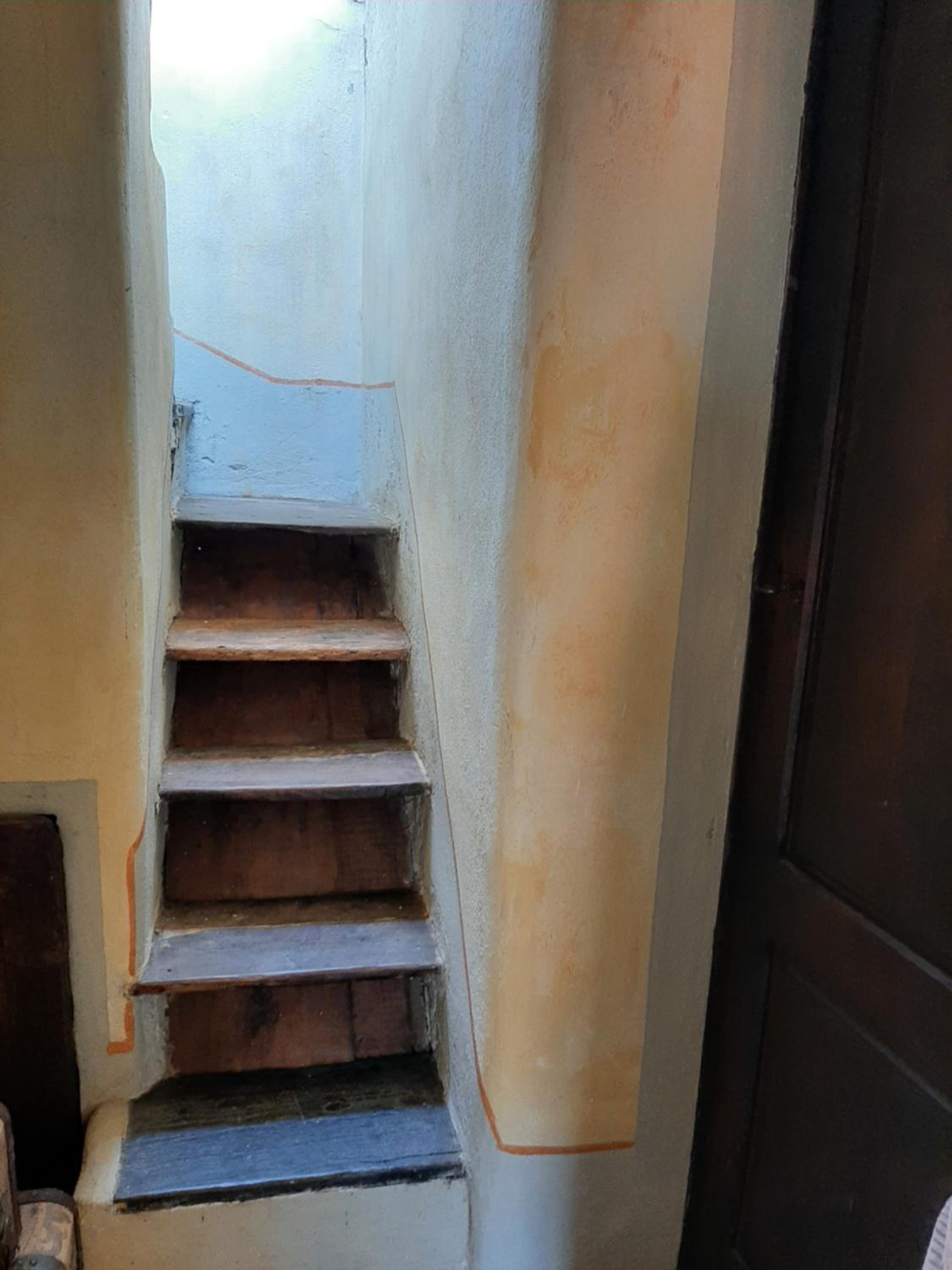 Apartment - Photo 15