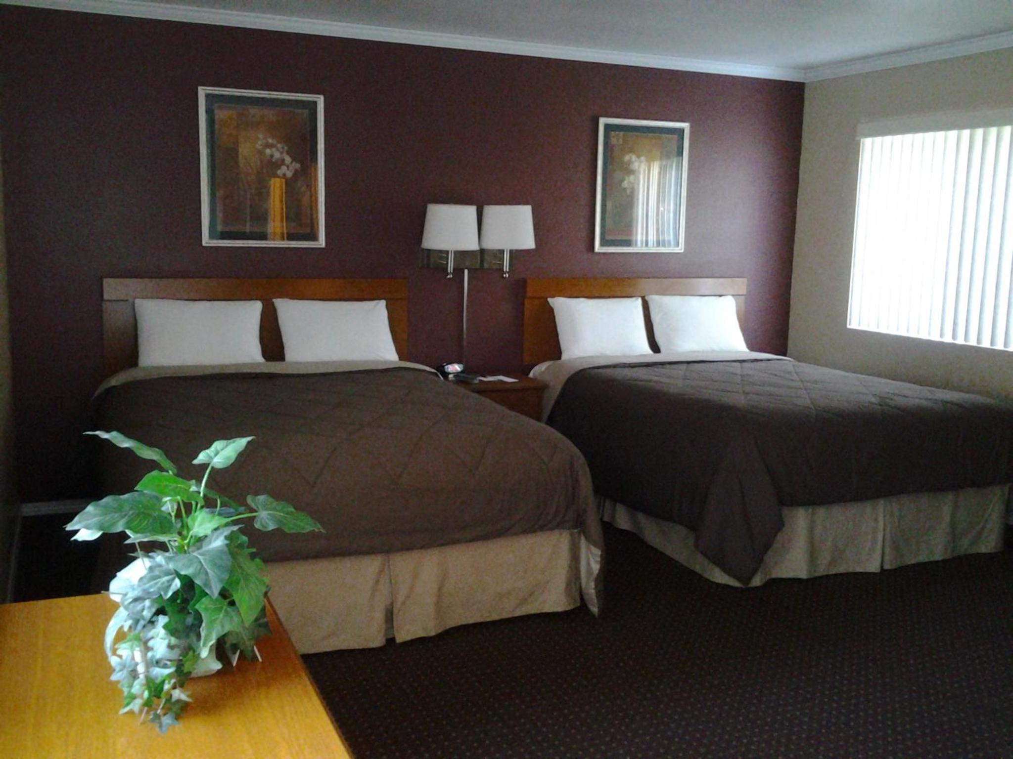 Queen Room with Two Queen Beds photo 2