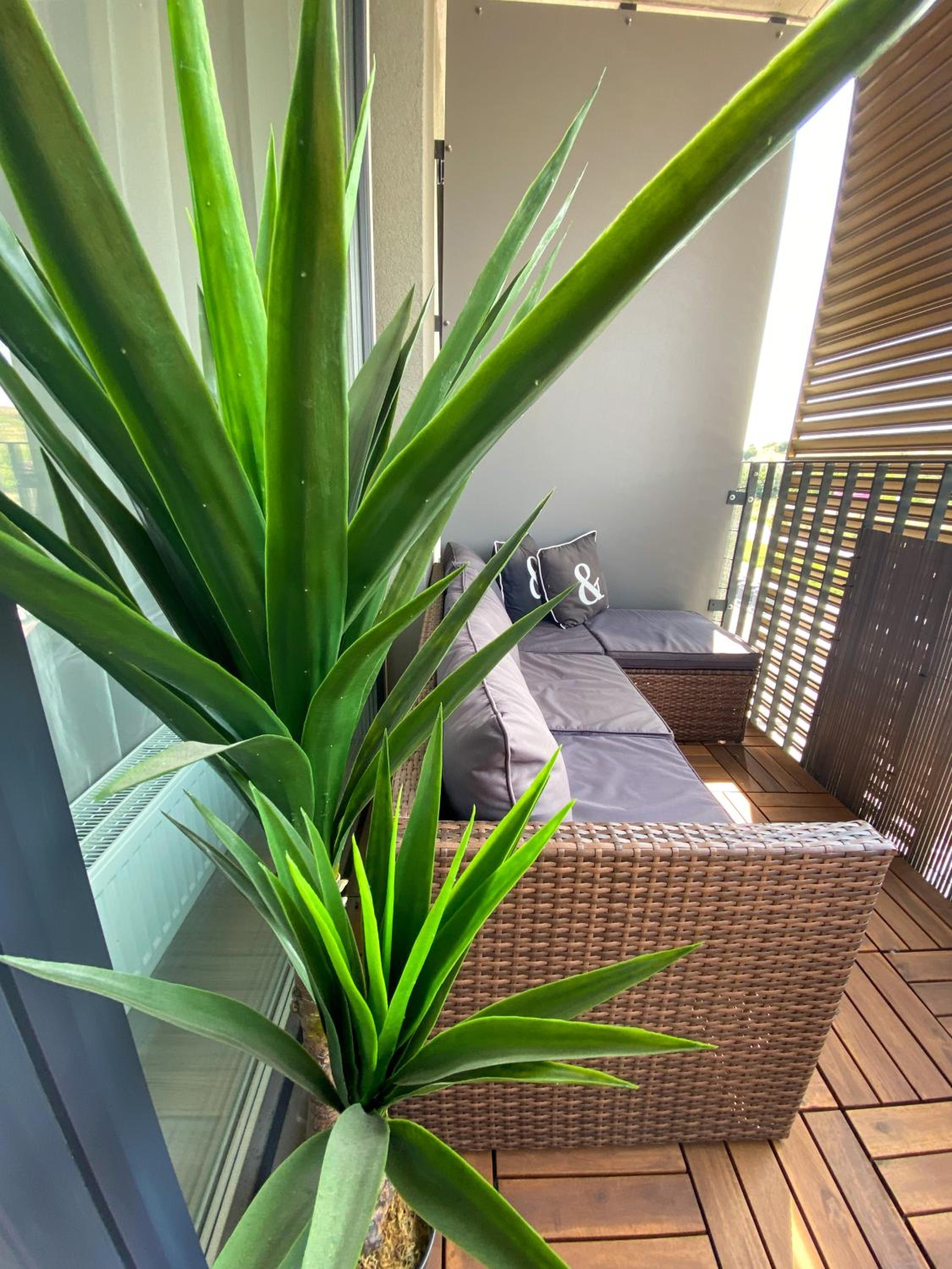 Studio Apartment - Photo 10