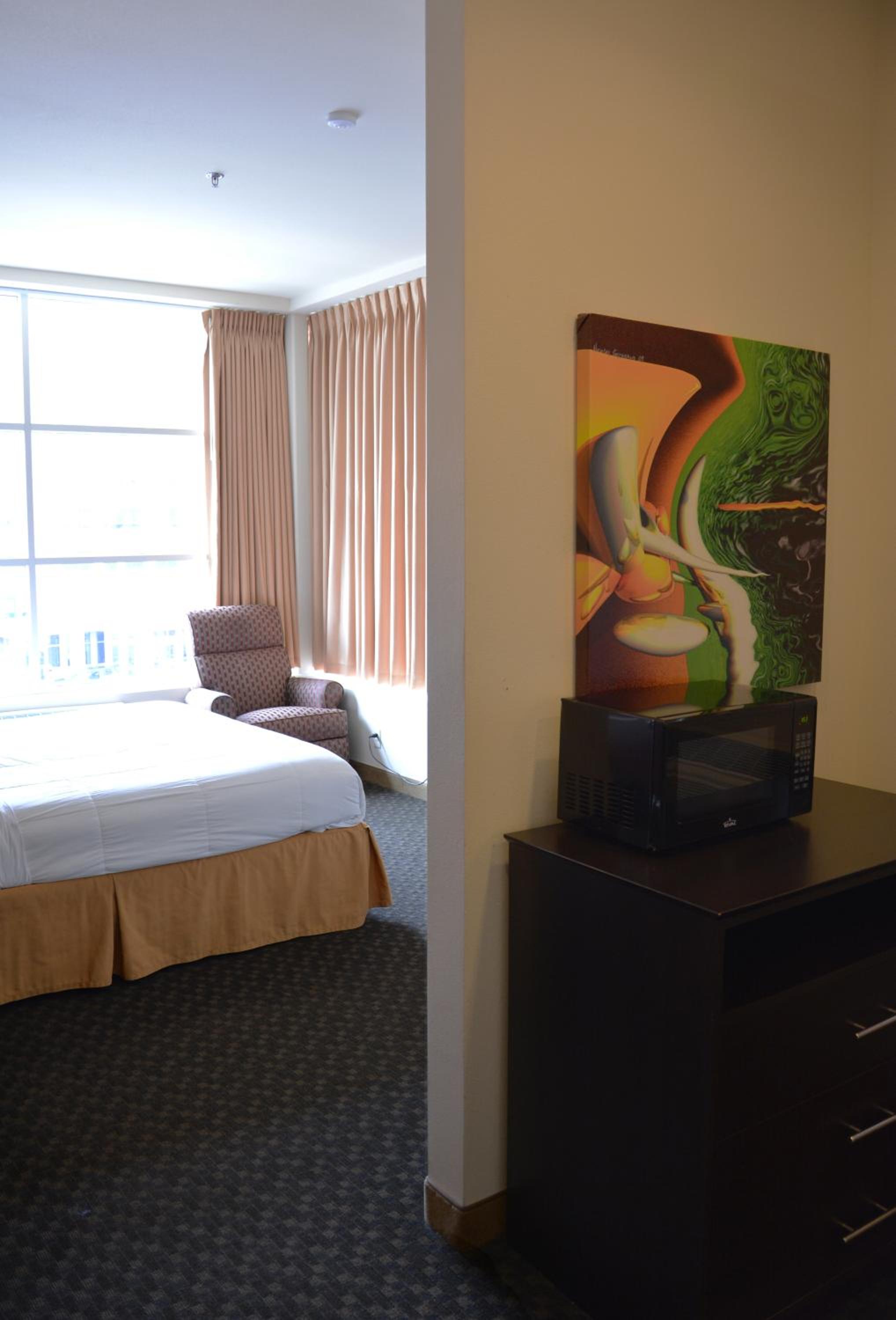 Deluxe One-Bedroom King Suite - Non-Smoking - Photo 4