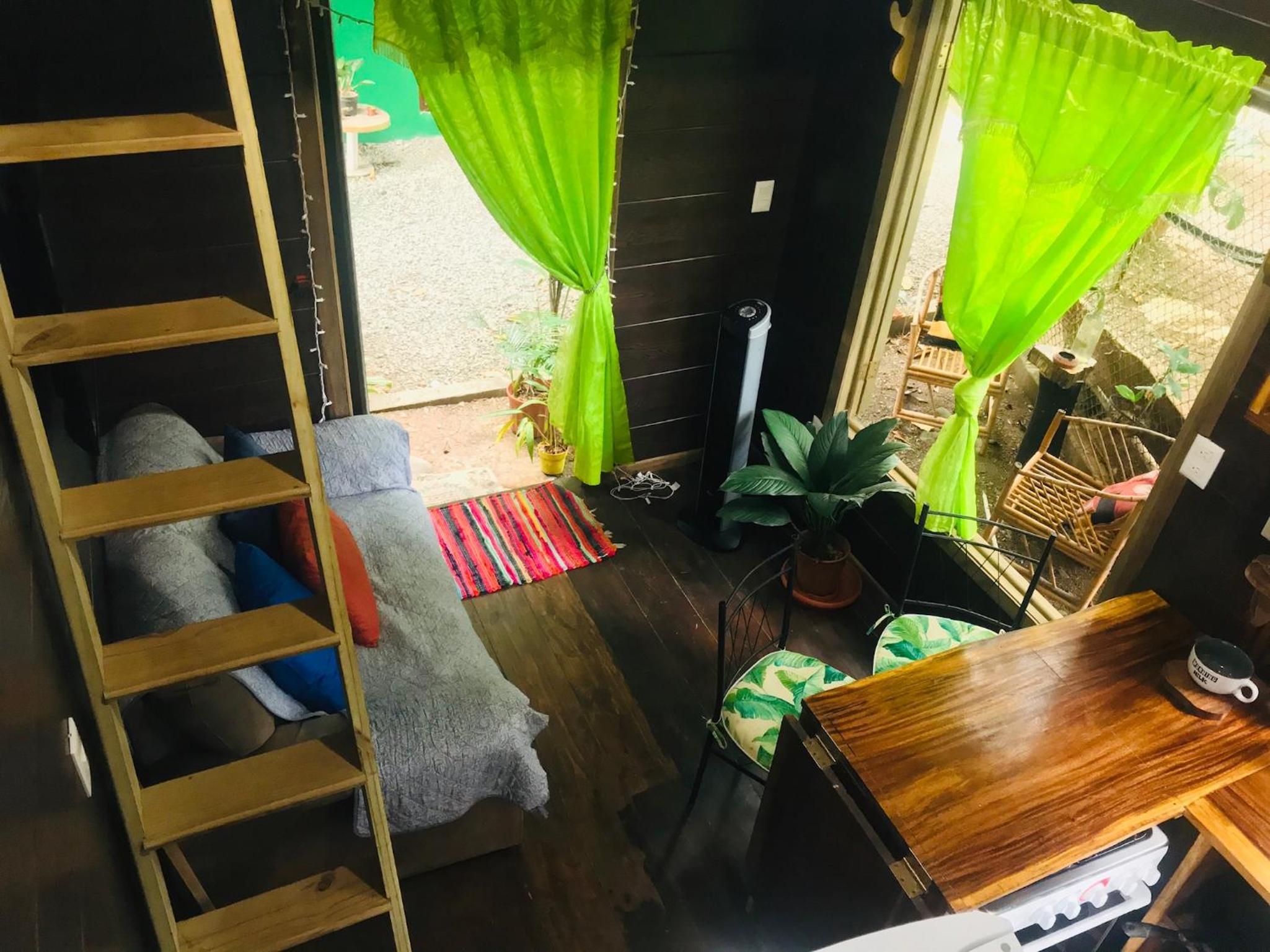 Studio with Garden View