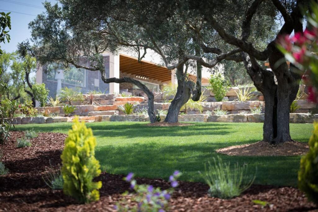 Villa photo 1