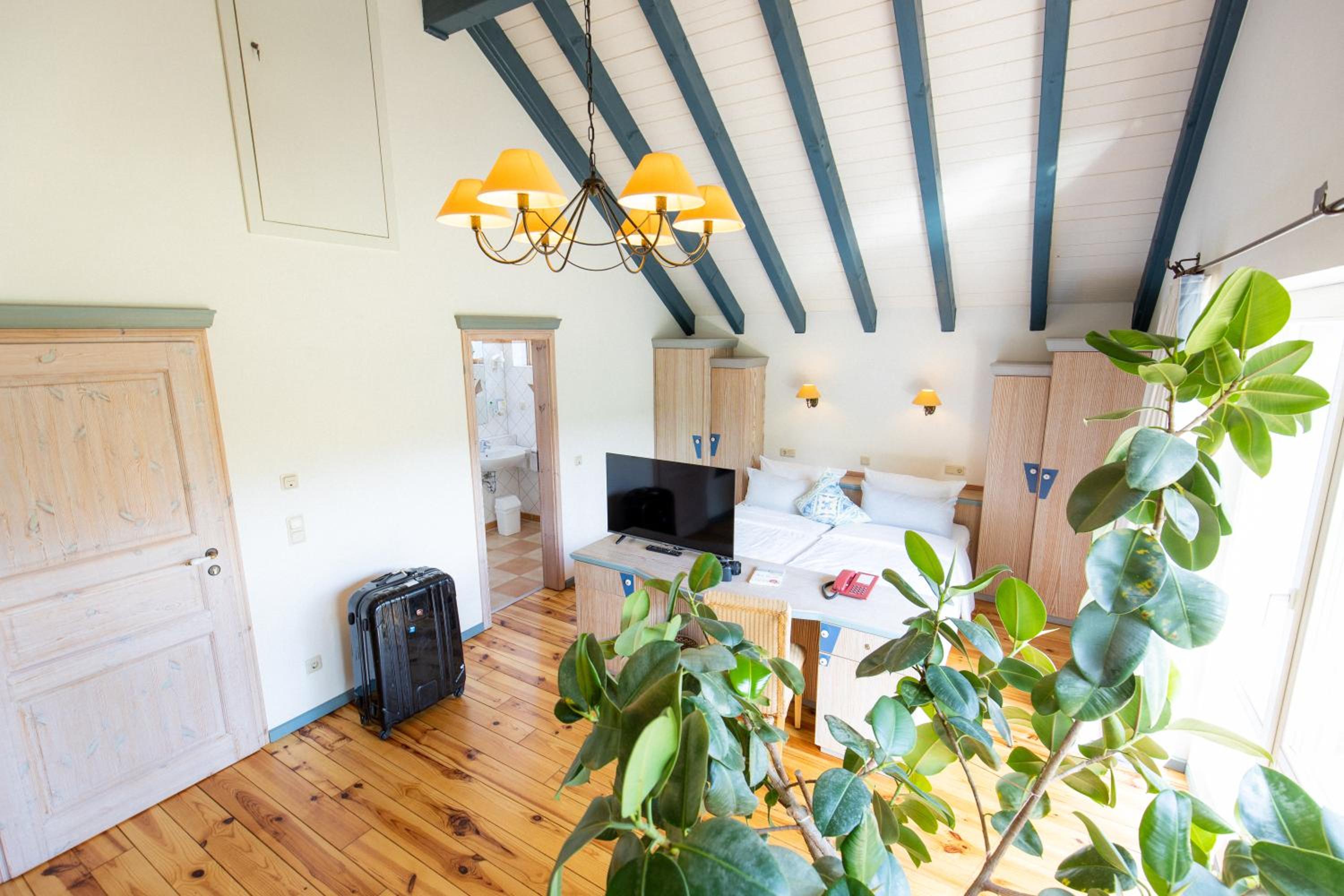 Comfort Double Room with Balcony Chalet