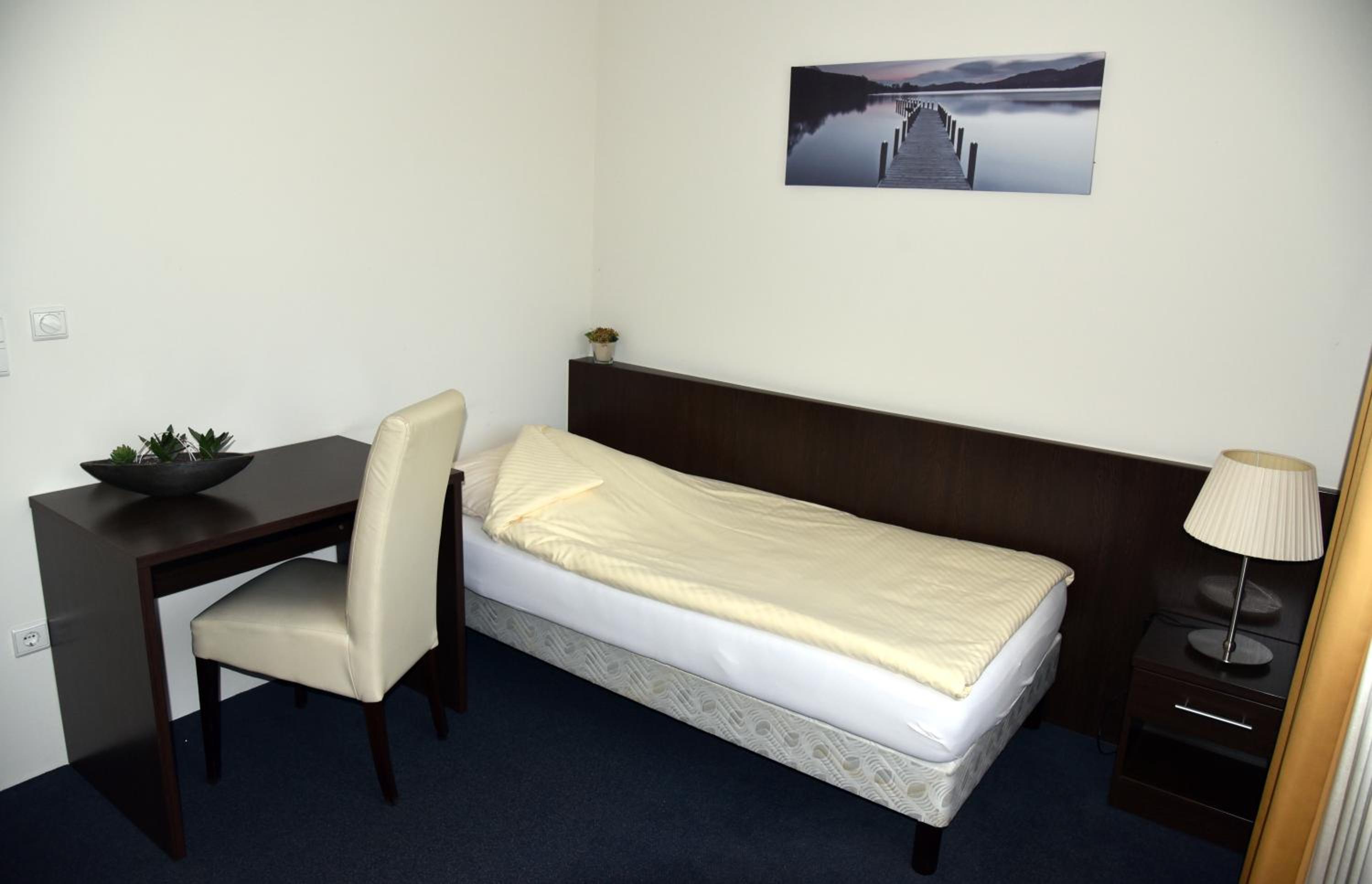 Single Room photo 3