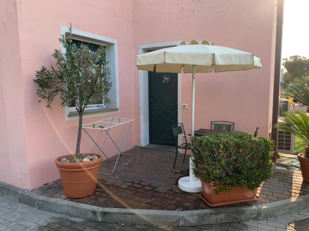 Standard Apartment