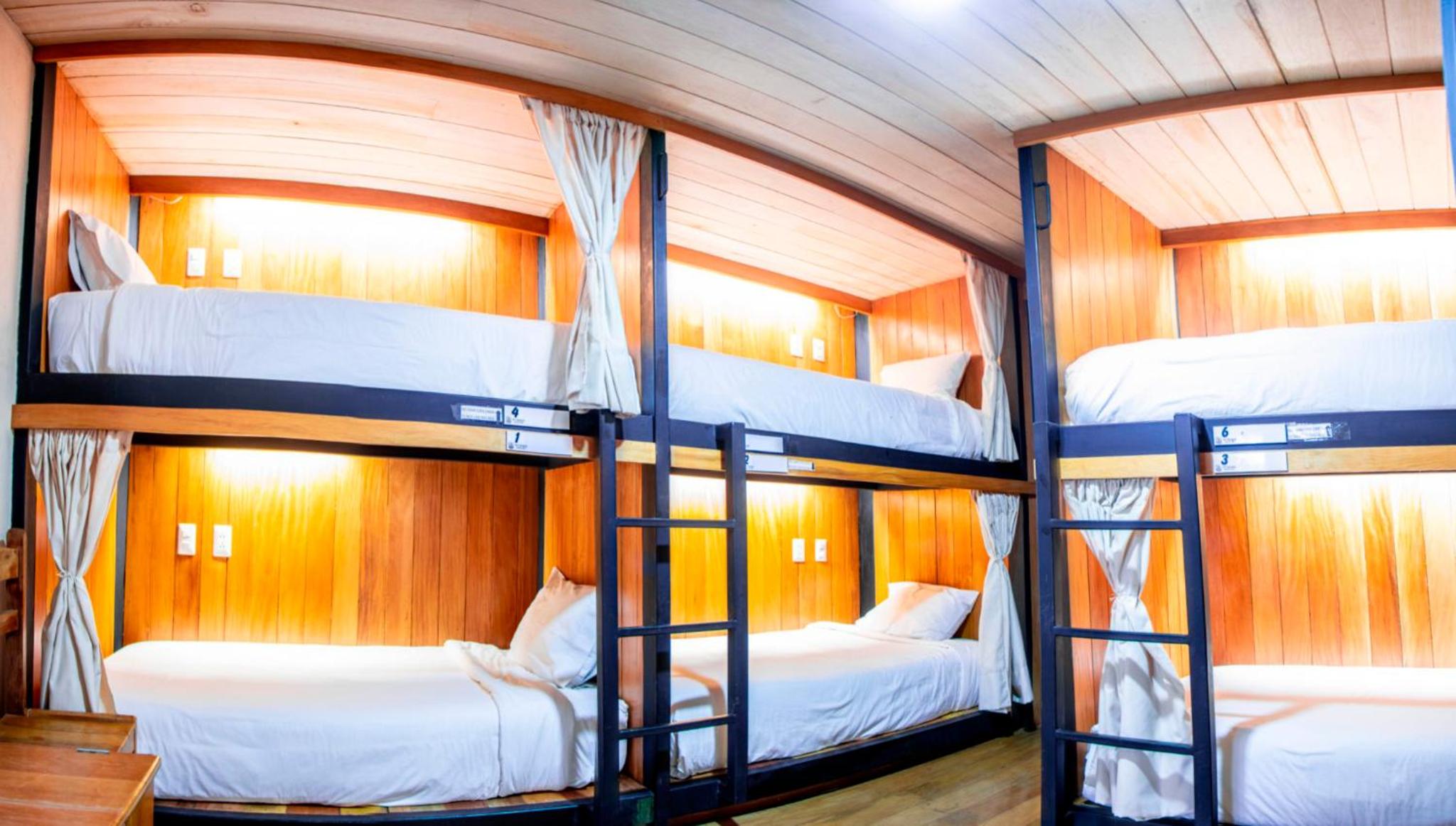 Bed In 6-Bed Mixed Dormitory Room With Private Bathroom