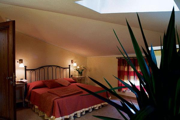 Deluxe Double or Twin Room photo 1