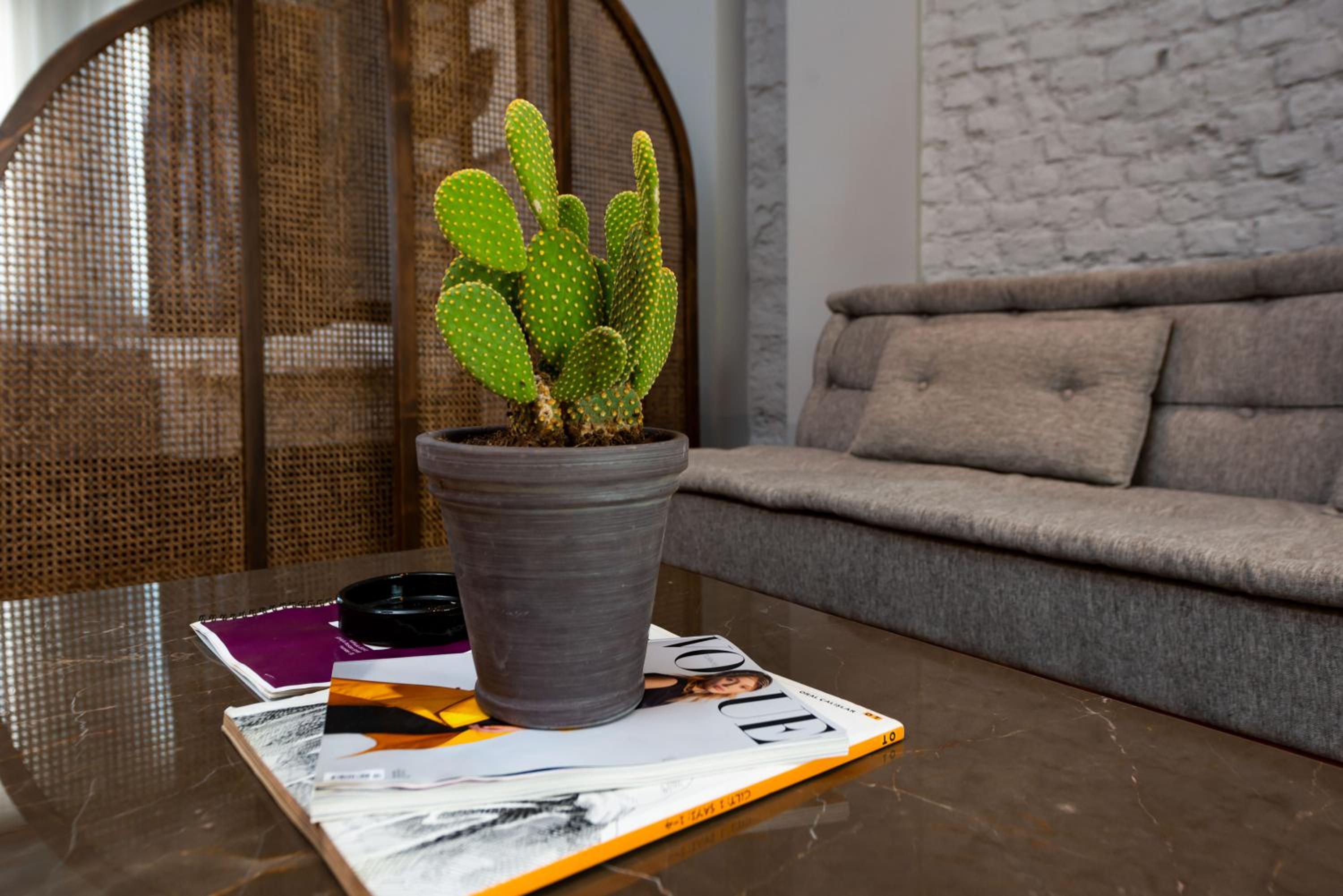 Loft photo 3
