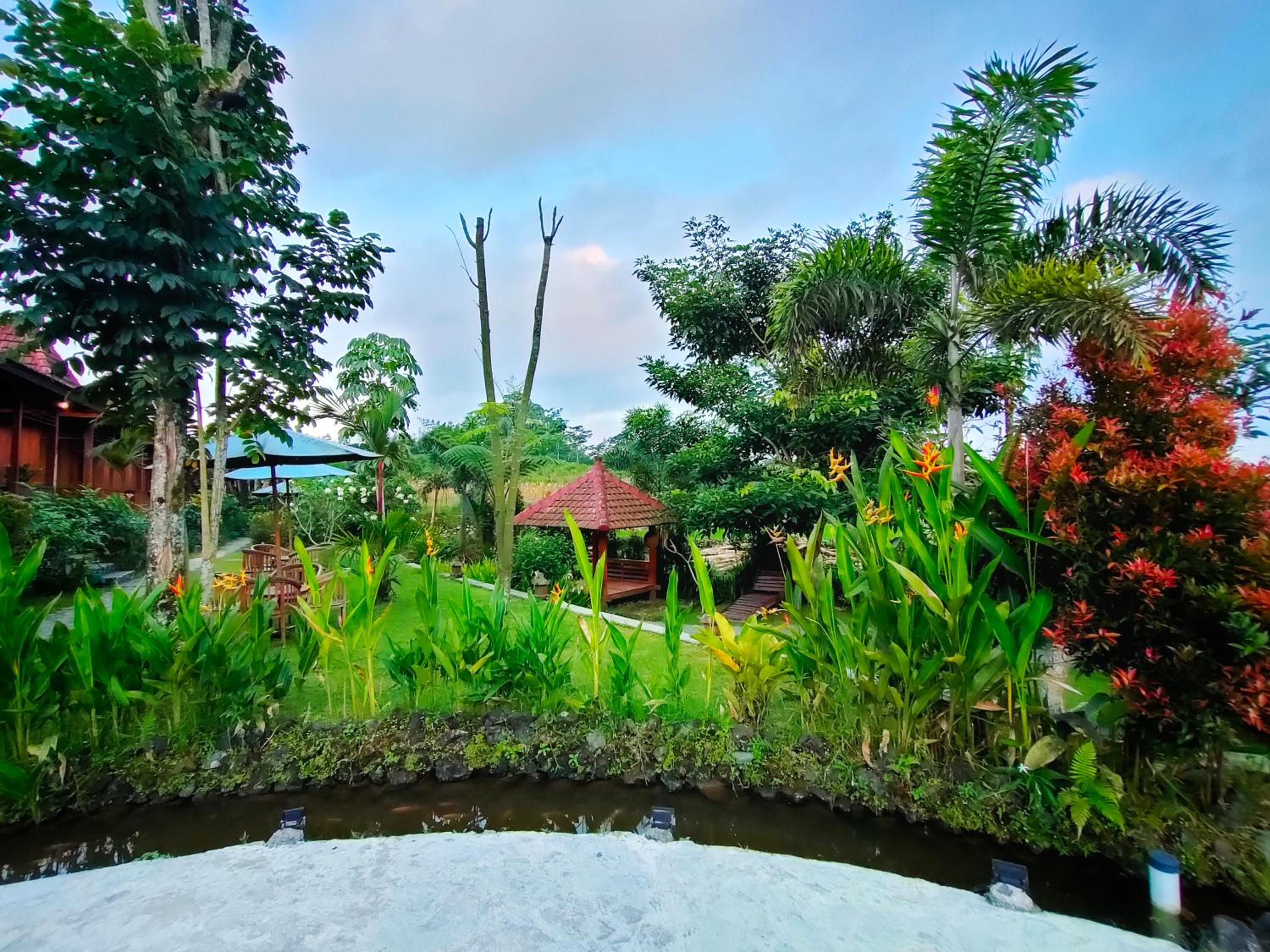 Cottage with Garden View - Photo 17
