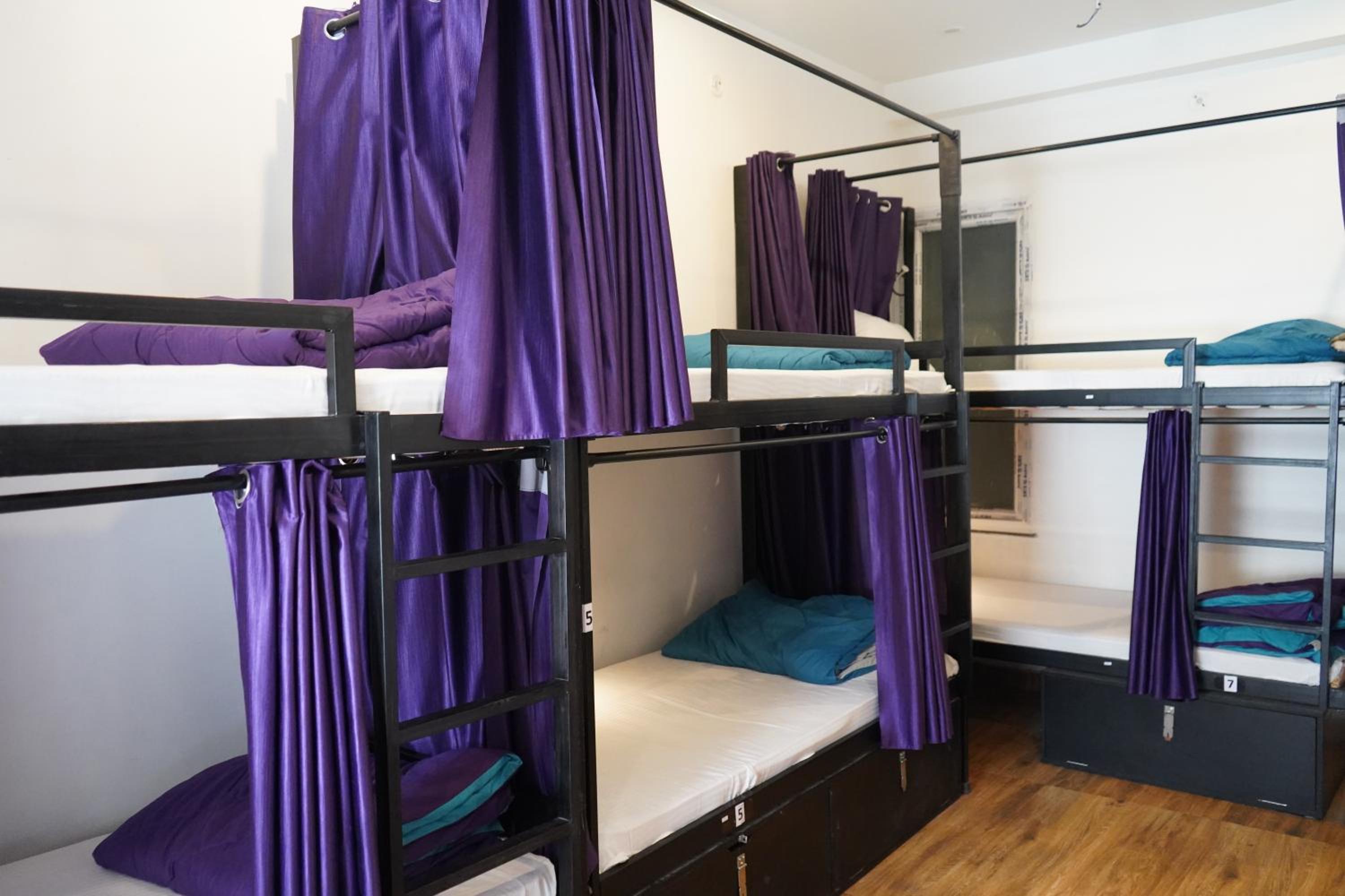 Single Bed in Female Dormitory Room photo 1