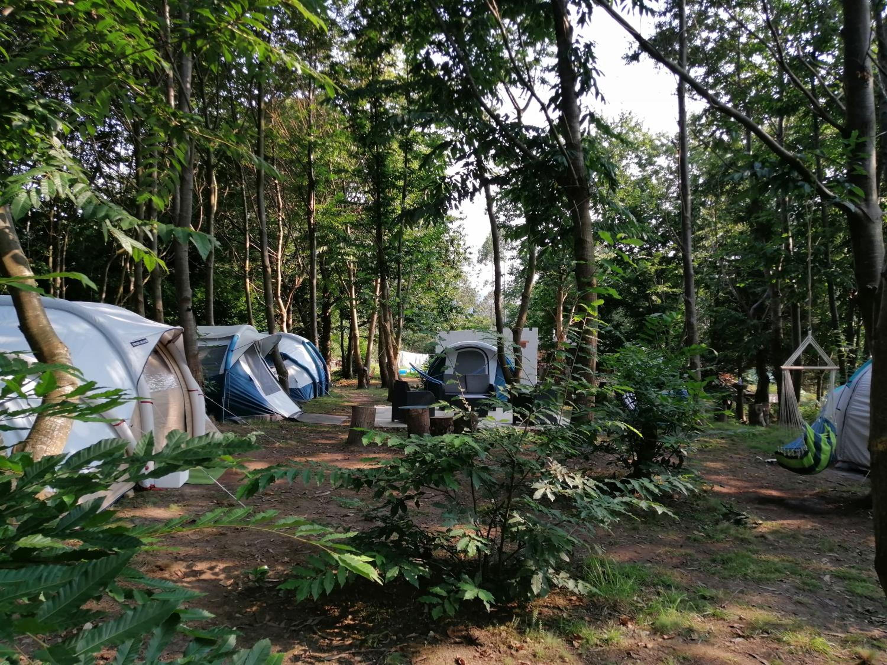 Deluxe Camping Tent - Photo 53