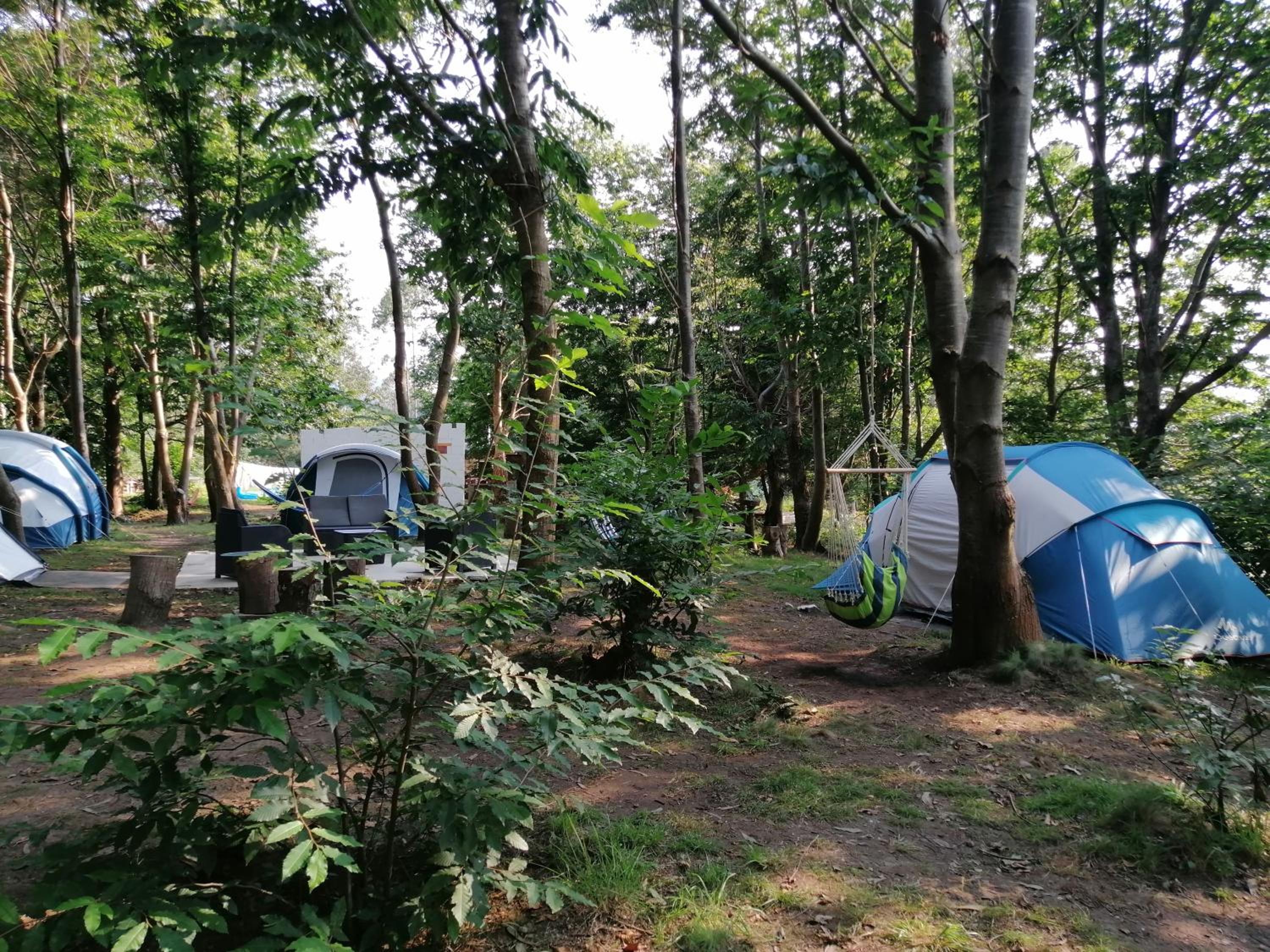 Deluxe Camping Tent - Photo 69