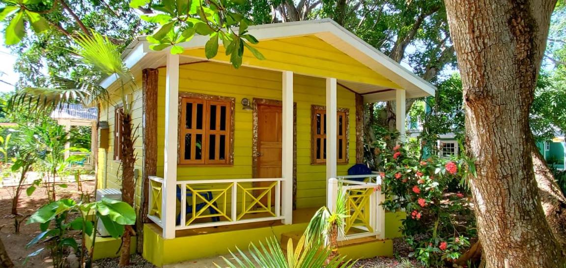 Superior Villa photo 2