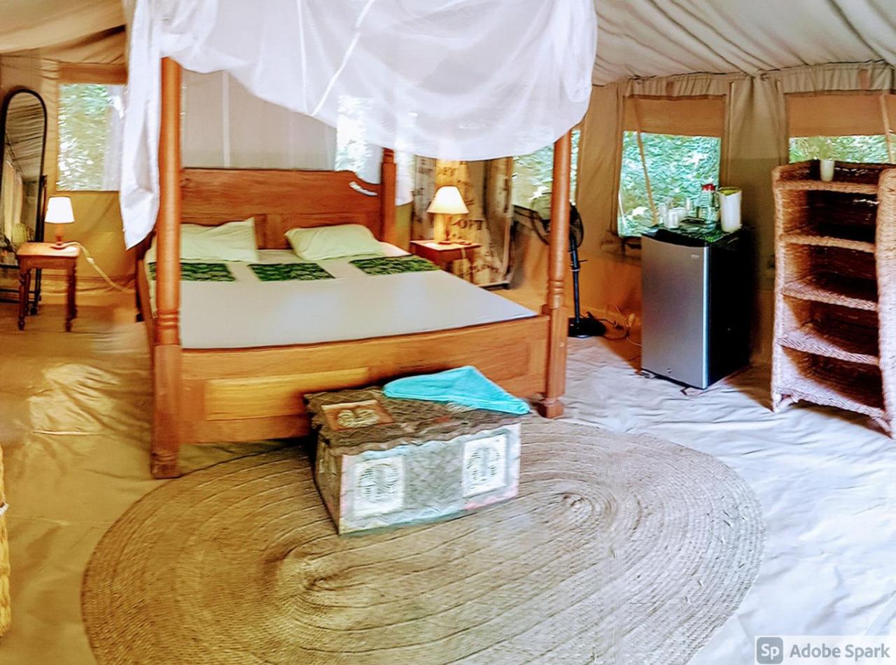 Tent - Photo 4