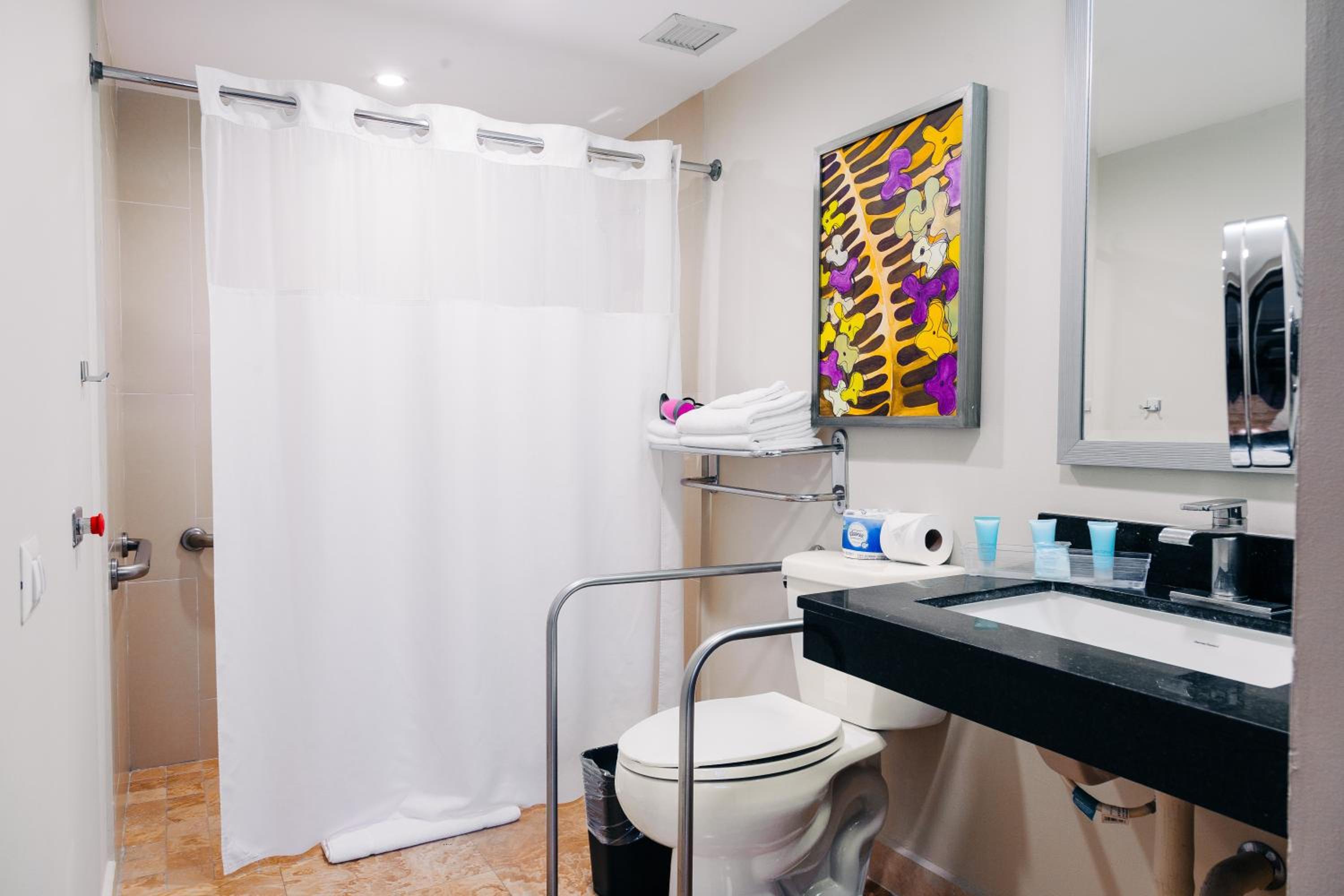 King Room with Roll-In Shower - Mobility Access - Photo 1