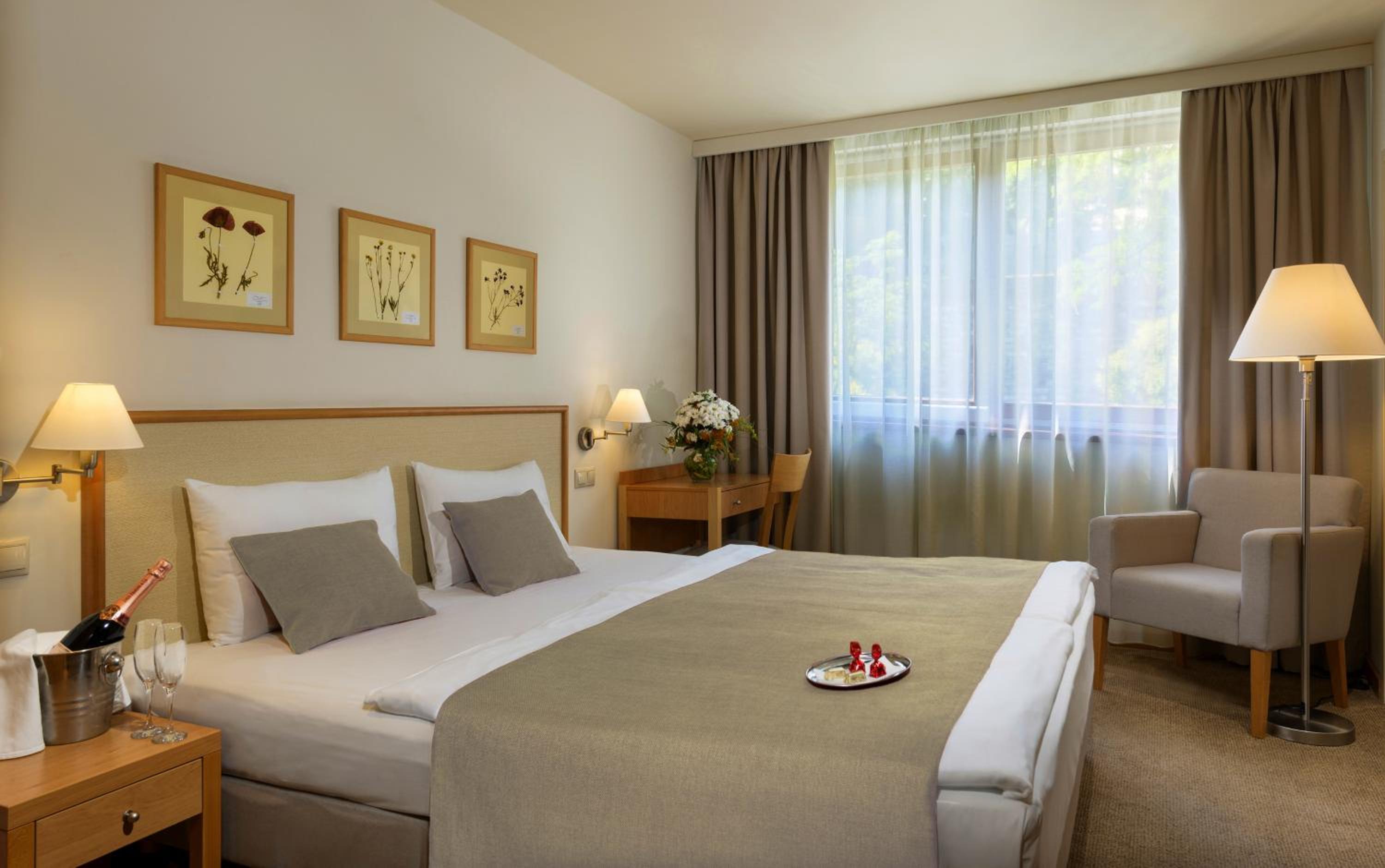 Standard Double Room - Photo 7