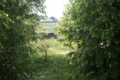 Double Room with Garden View photo 3