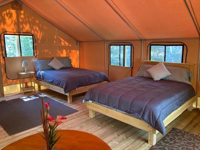 Safari Tent 4