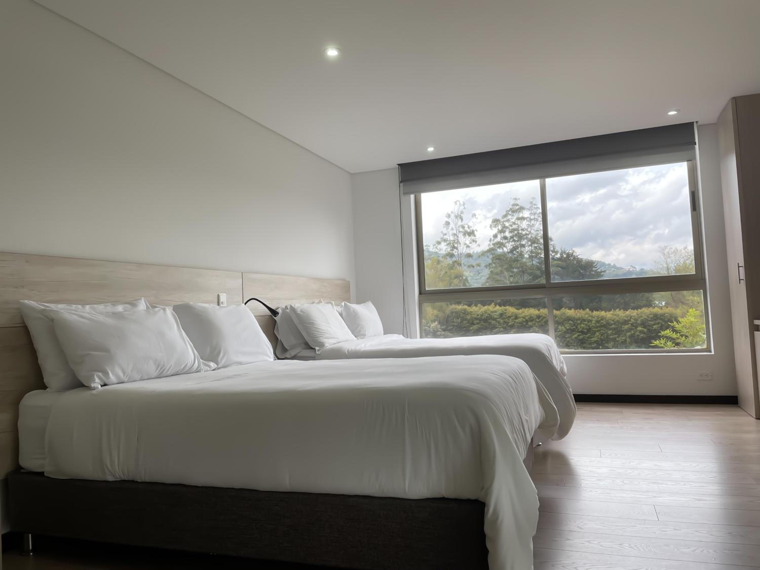 Standard Twin Room photo 3