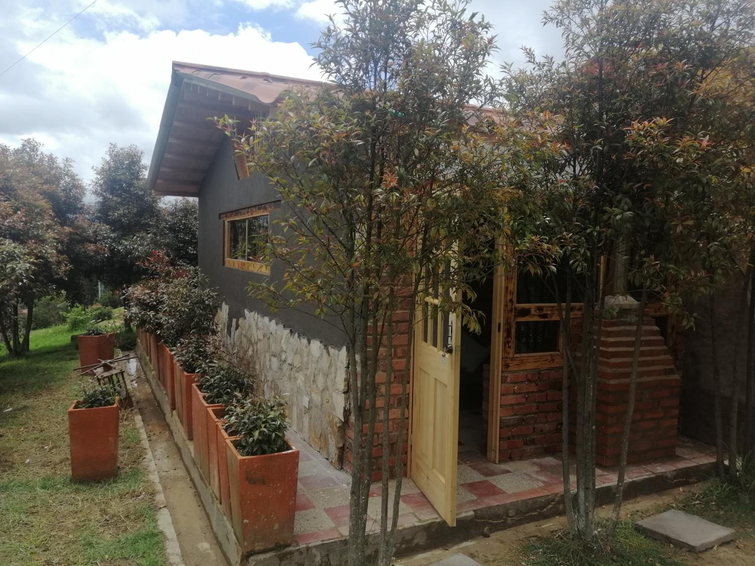 Bungalow with Garden View photo 2