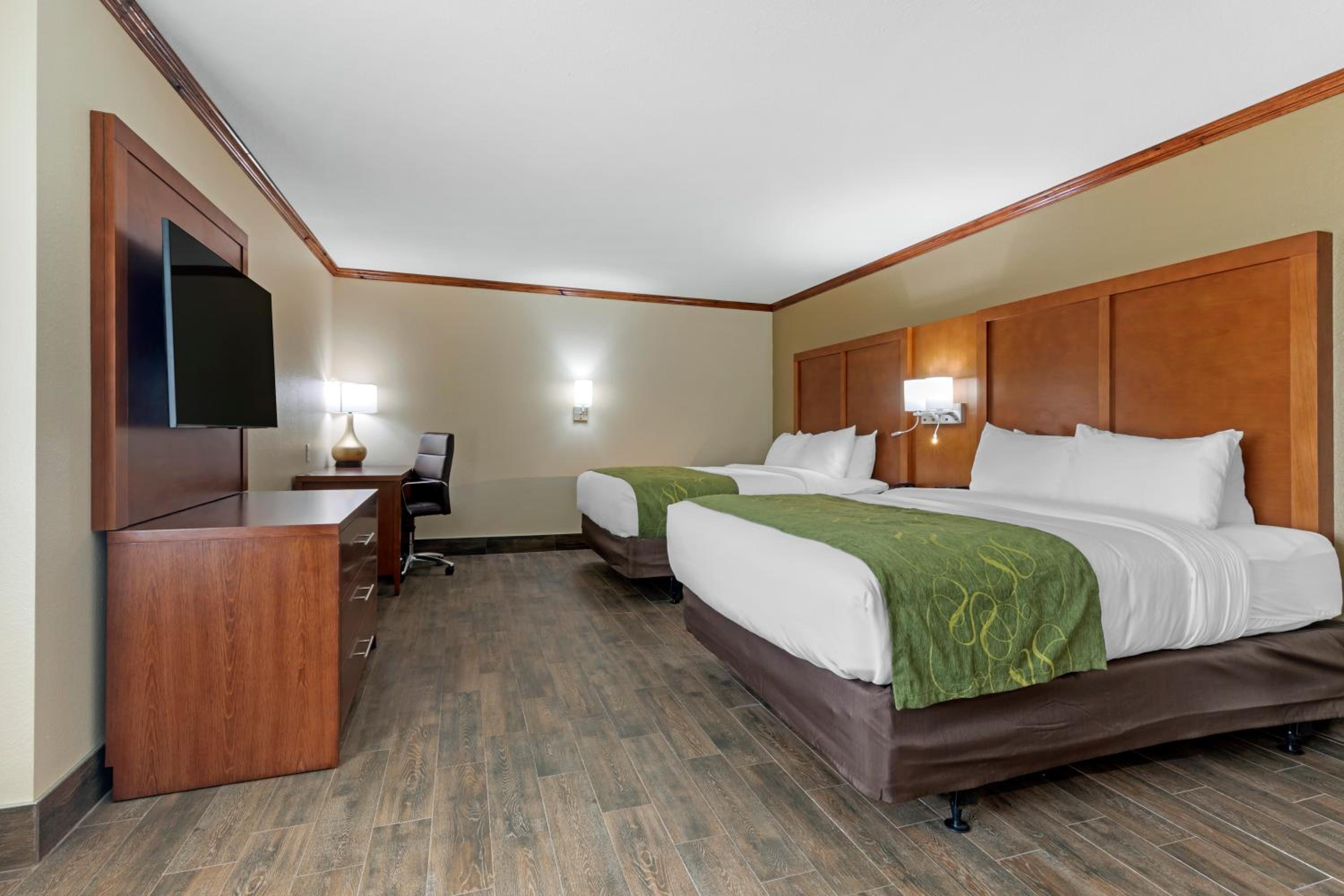 Accessible Efficiency Suite with Two Queen Beds and Sofa Bed - Non Smoking - Photo 1