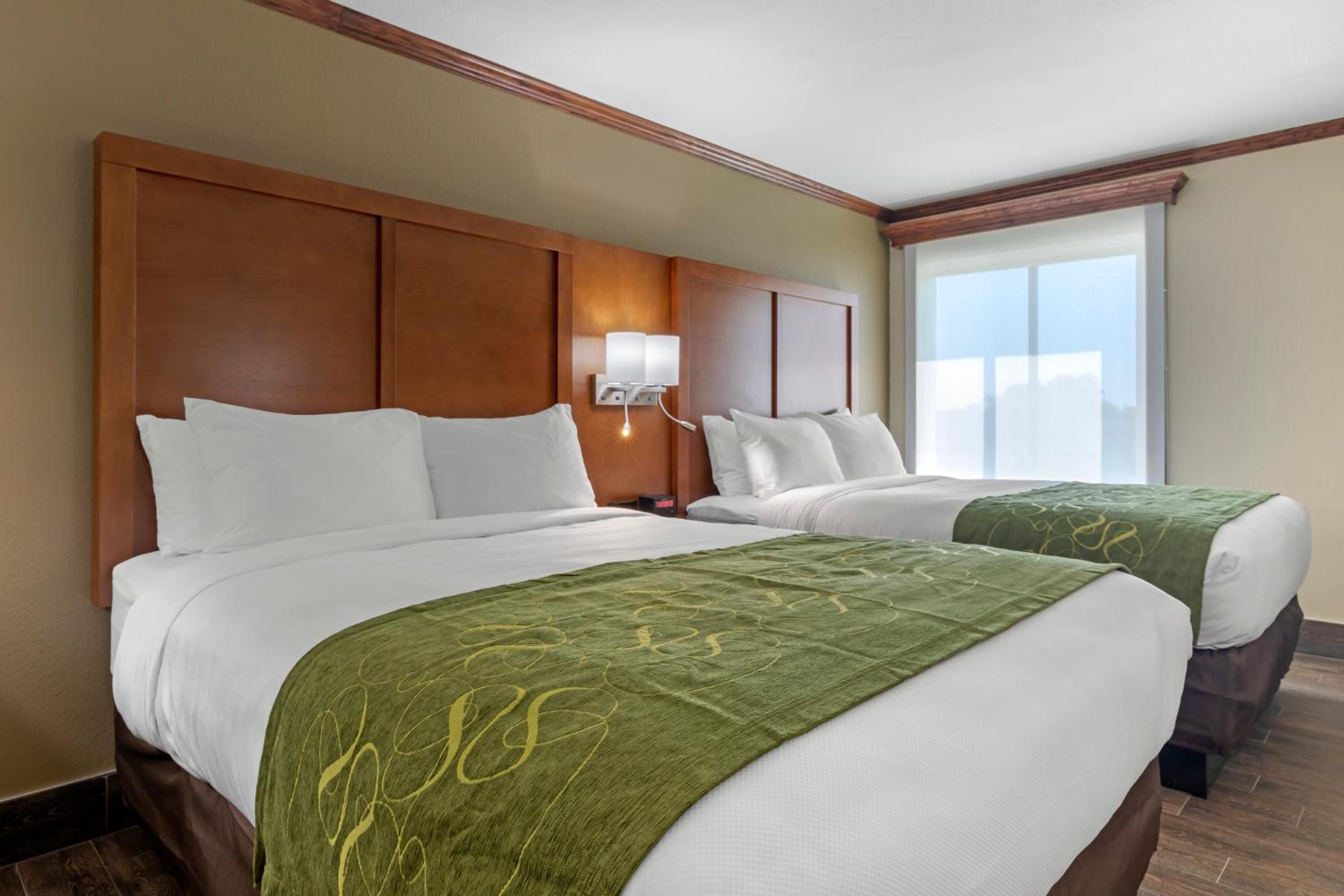 Queen Suite with Two Queen Beds and Sofabed - Non Smoking - Photo 7