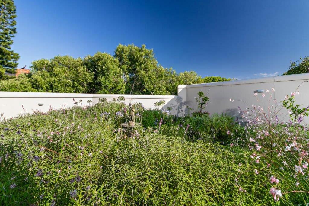 Studio with Garden View photo 2