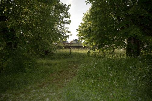 Double or Twin Room with Garden View