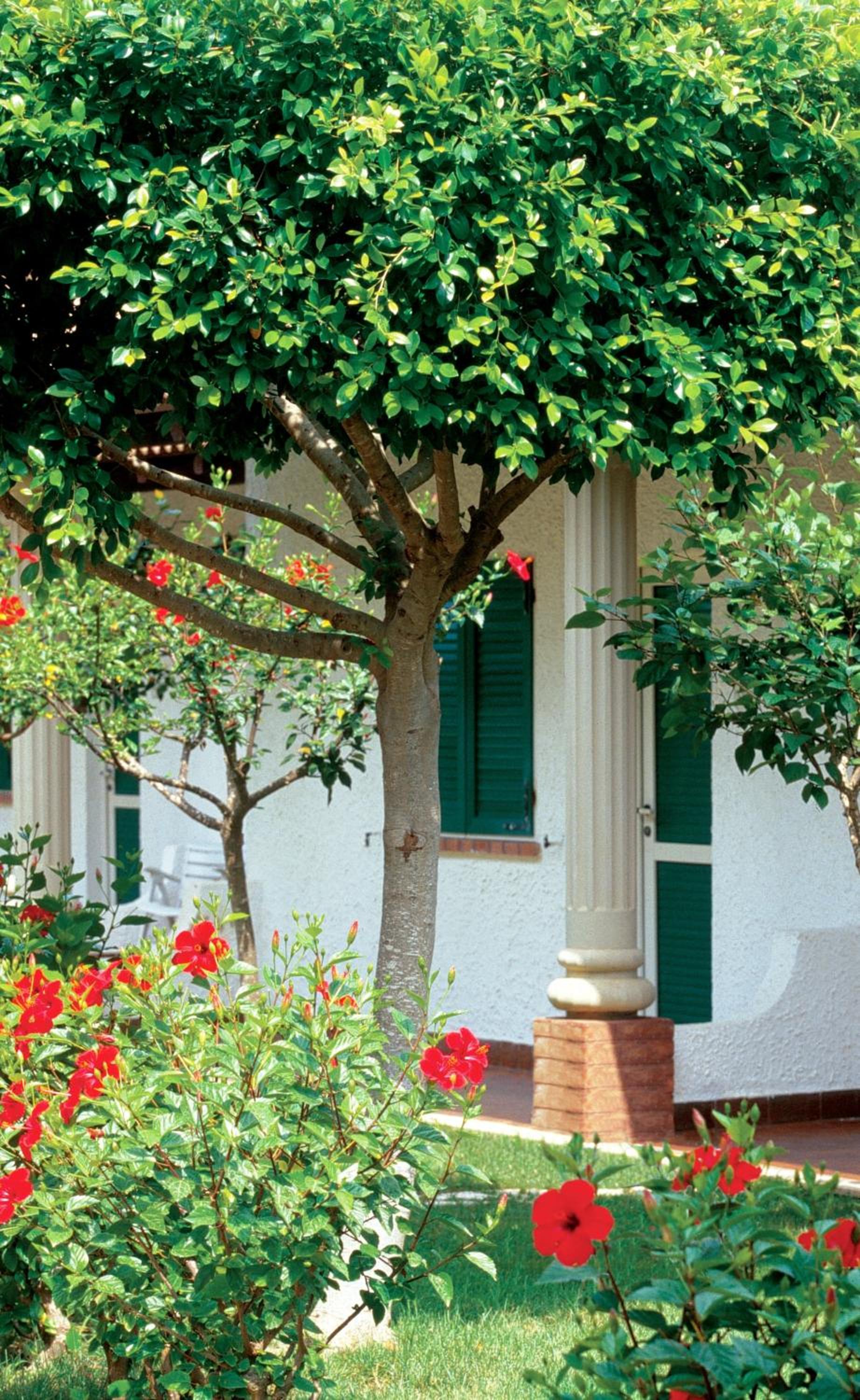 Cottage (2 Adults + 2 Children)