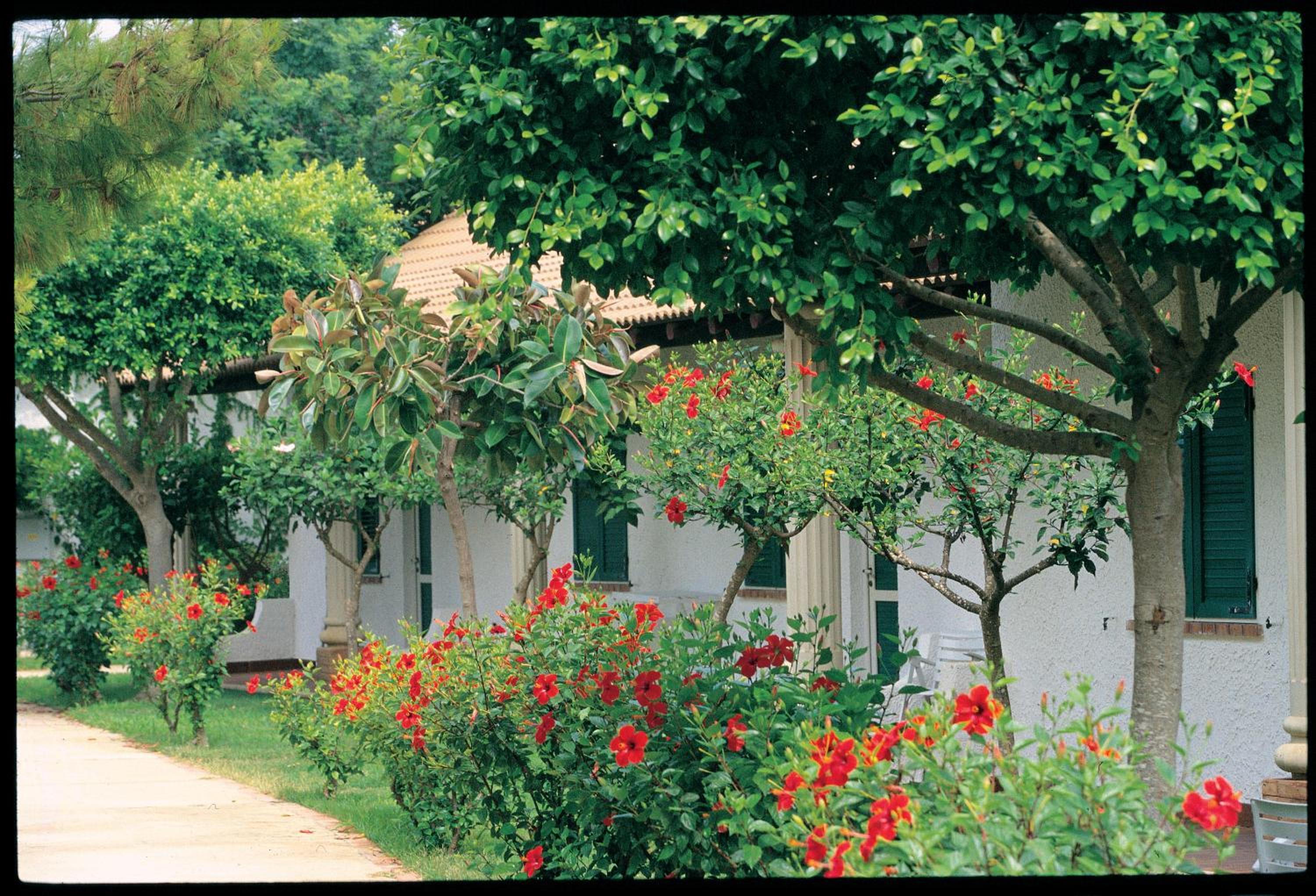 Cottage (2 Adults + 2 Children) photo 3