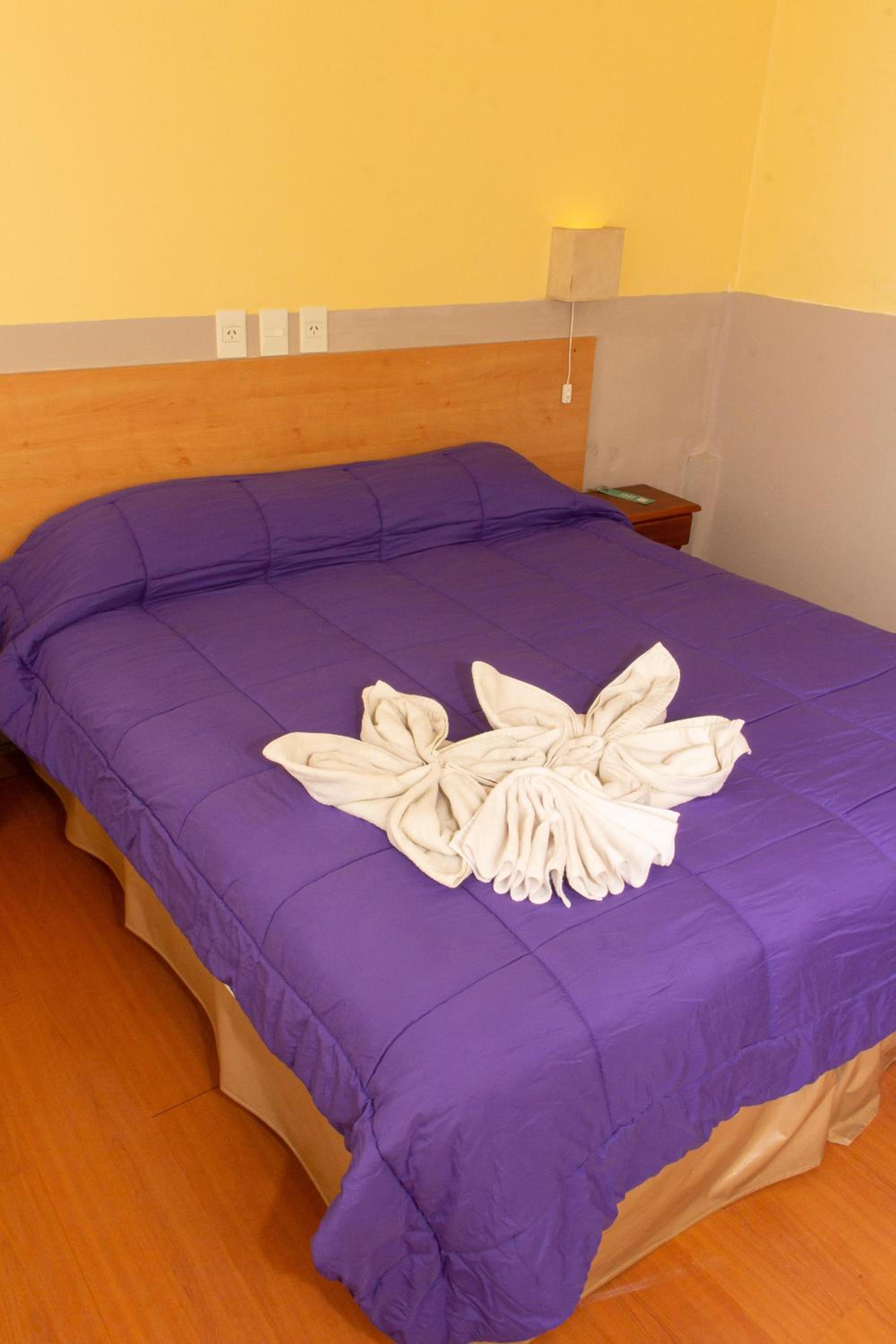 Standard Double Room photo 2