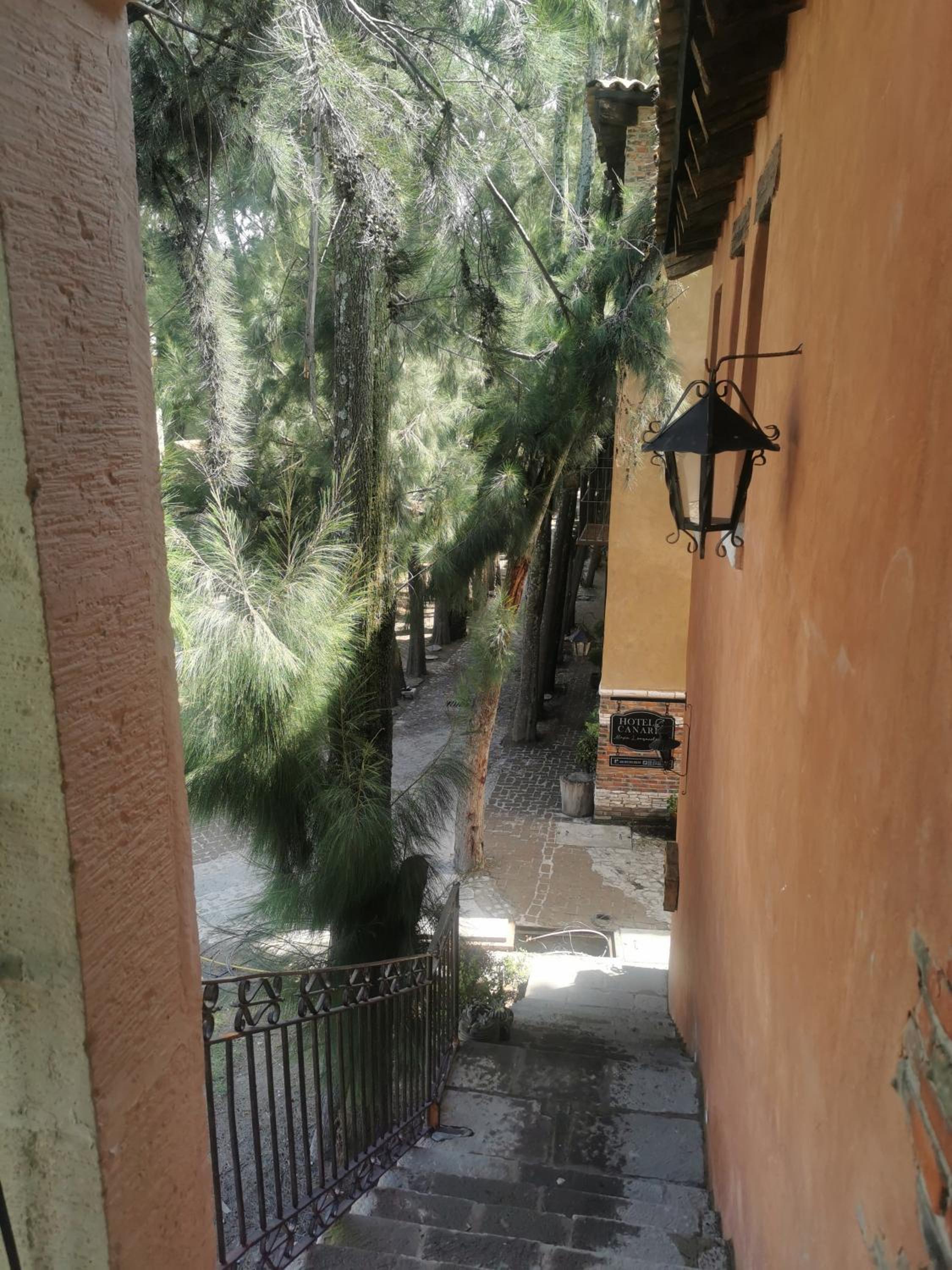 Premium Quadruple Room - Photo 5