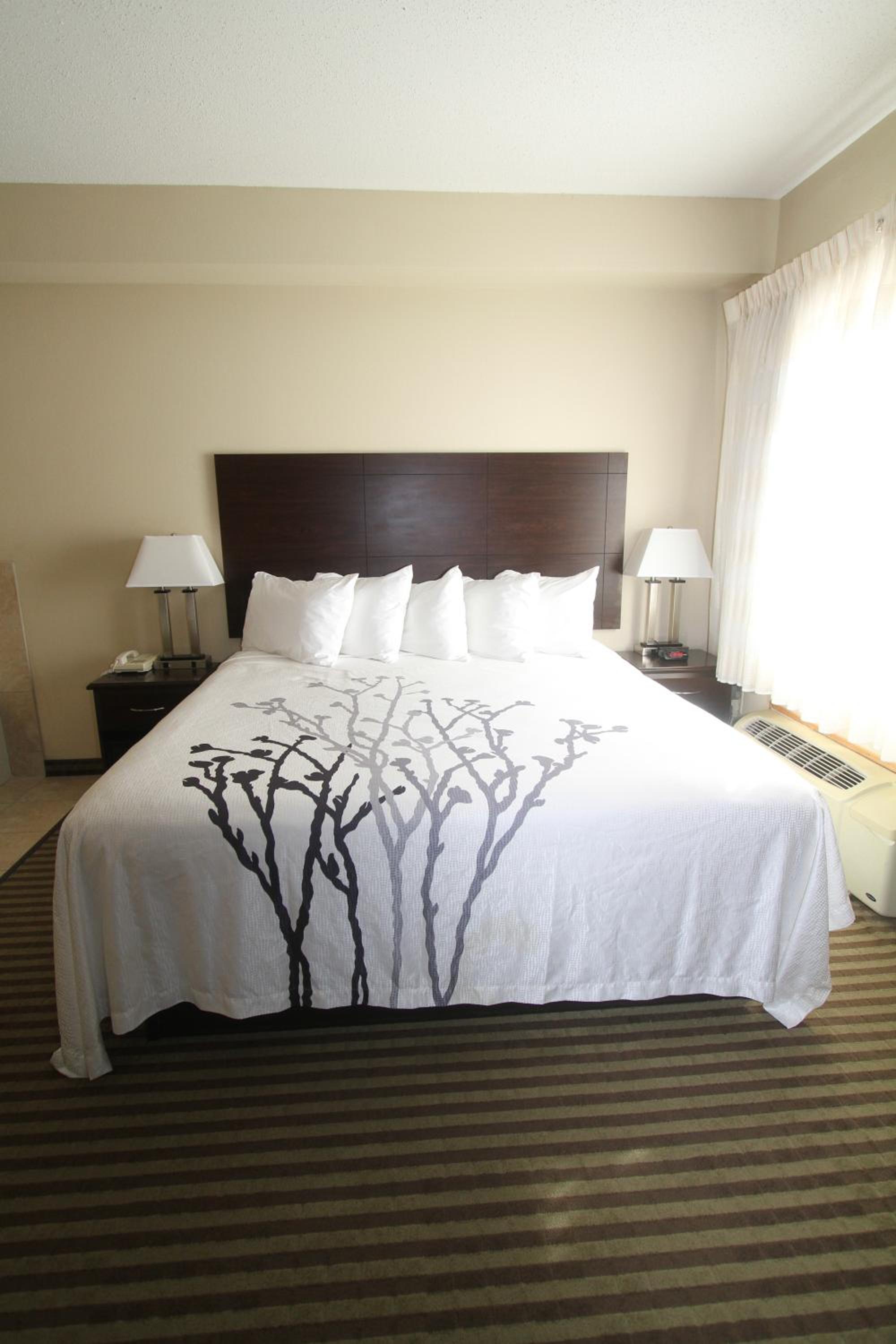 King Room - Disability Access