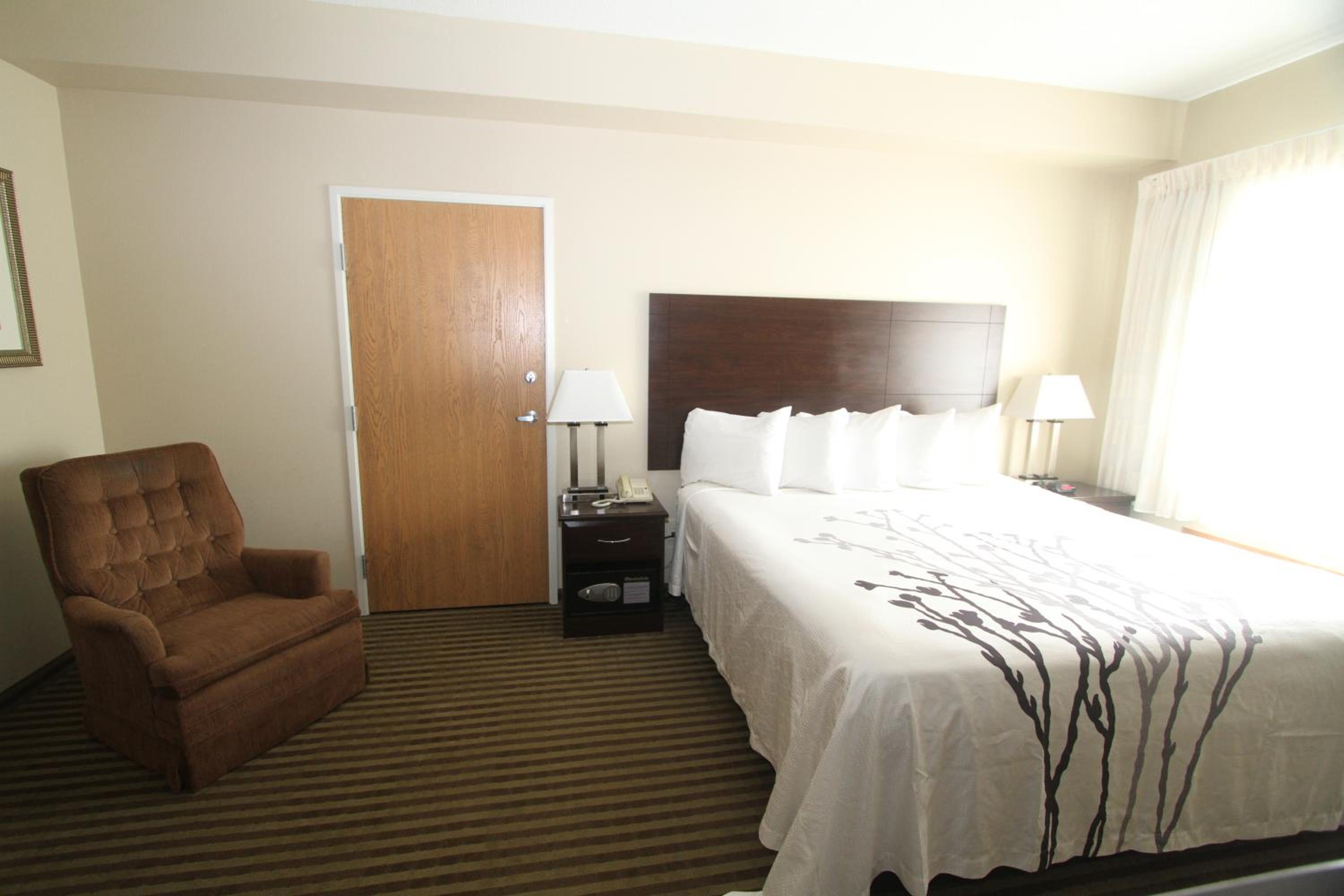 King Room - Non-Smoking photo 2