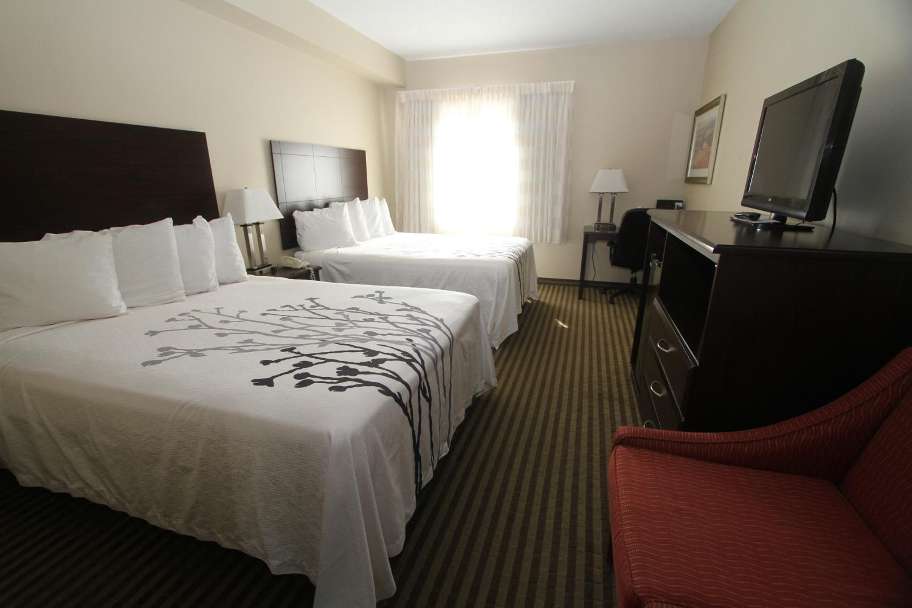 Queen Room with Two Queen Beds