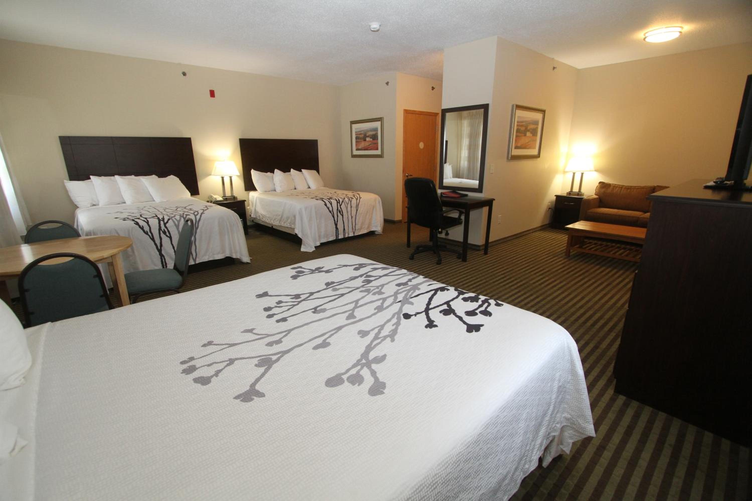 Family Suite