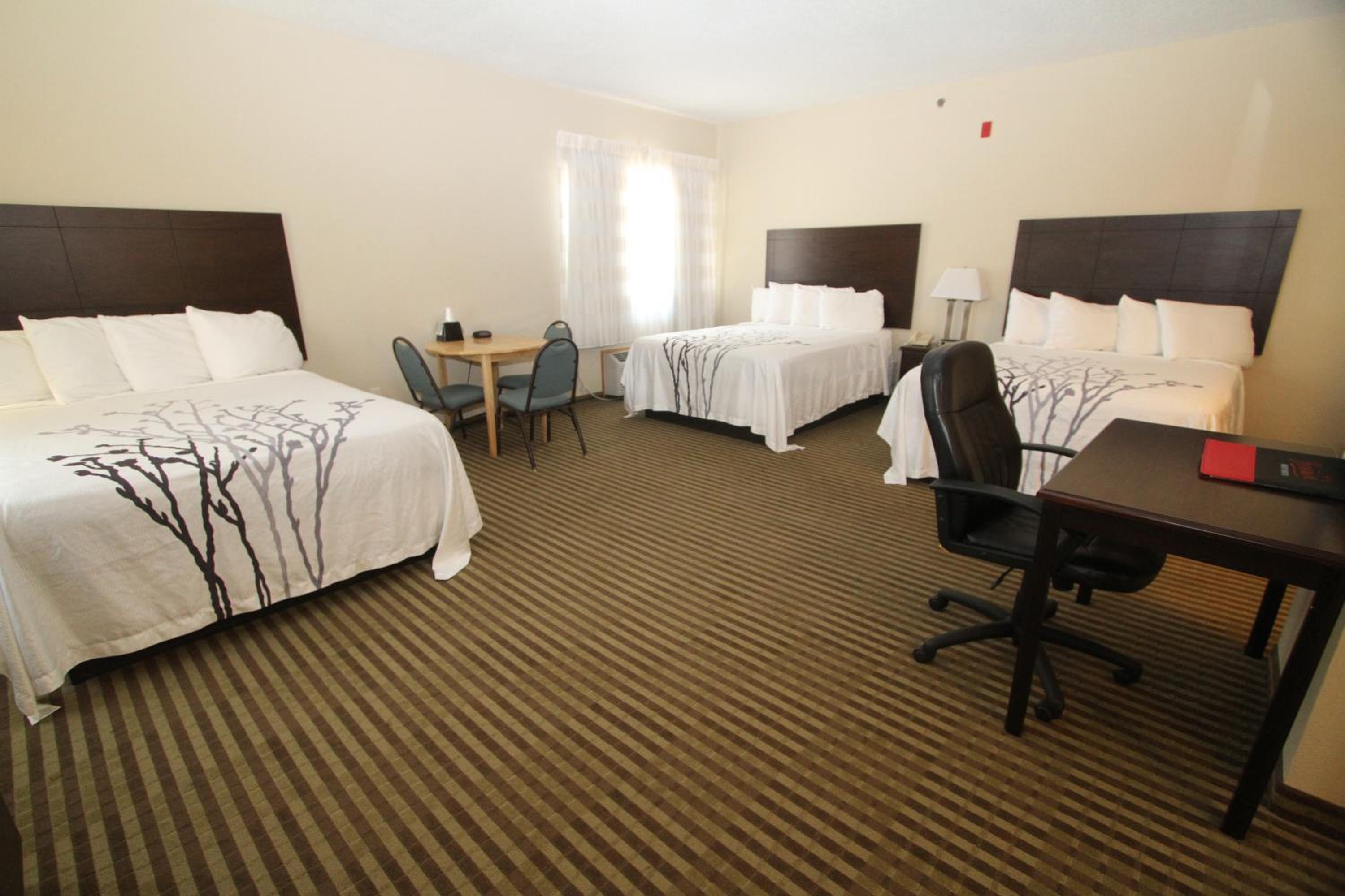 Family Suite photo 3