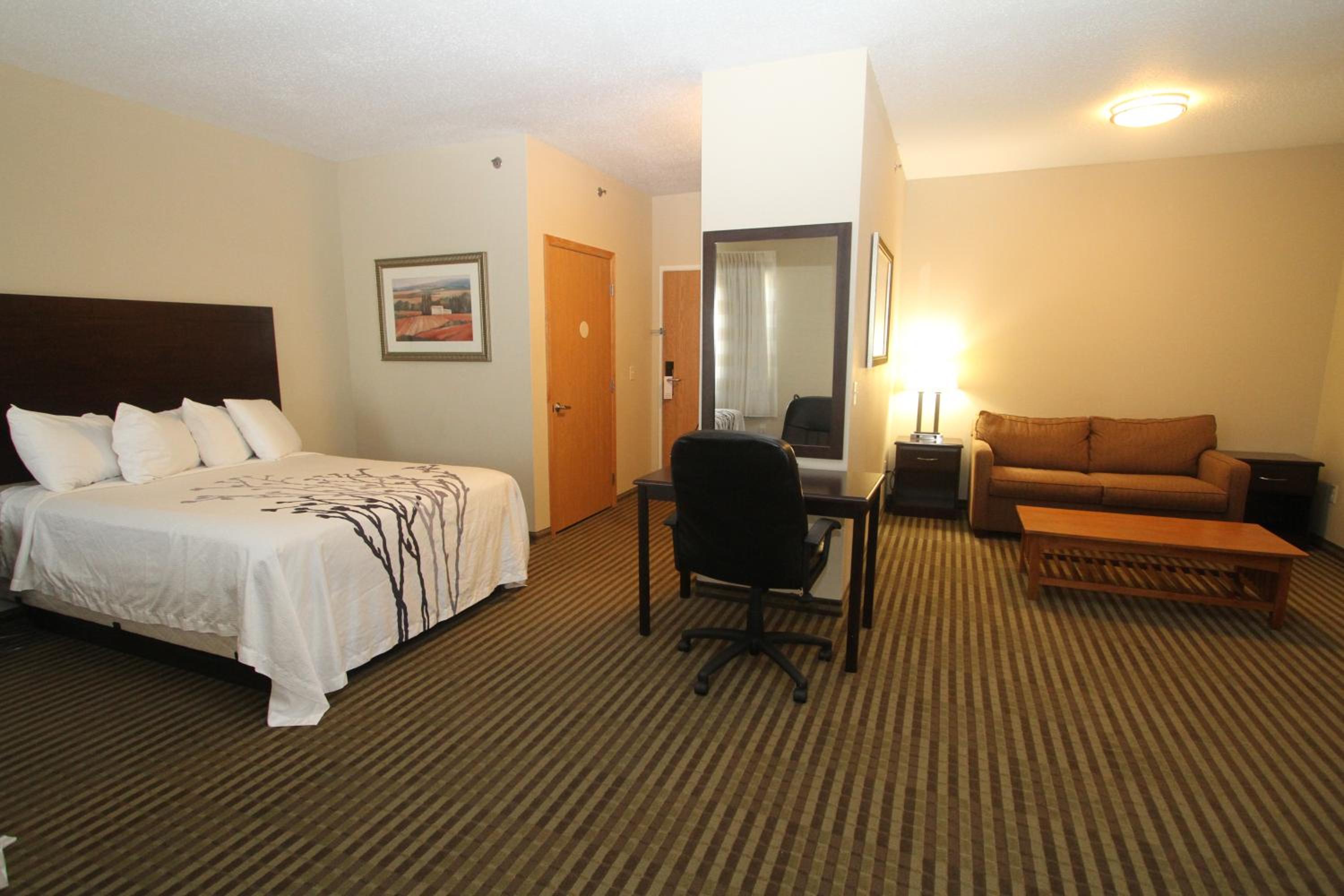 Family Suite photo 2