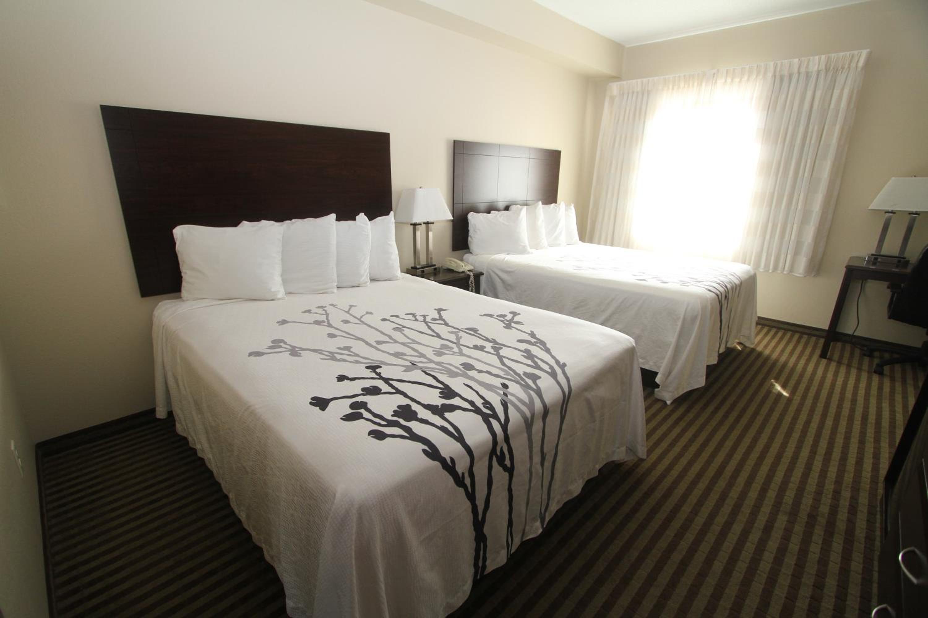 Queen Room with Two Queen Beds photo 2