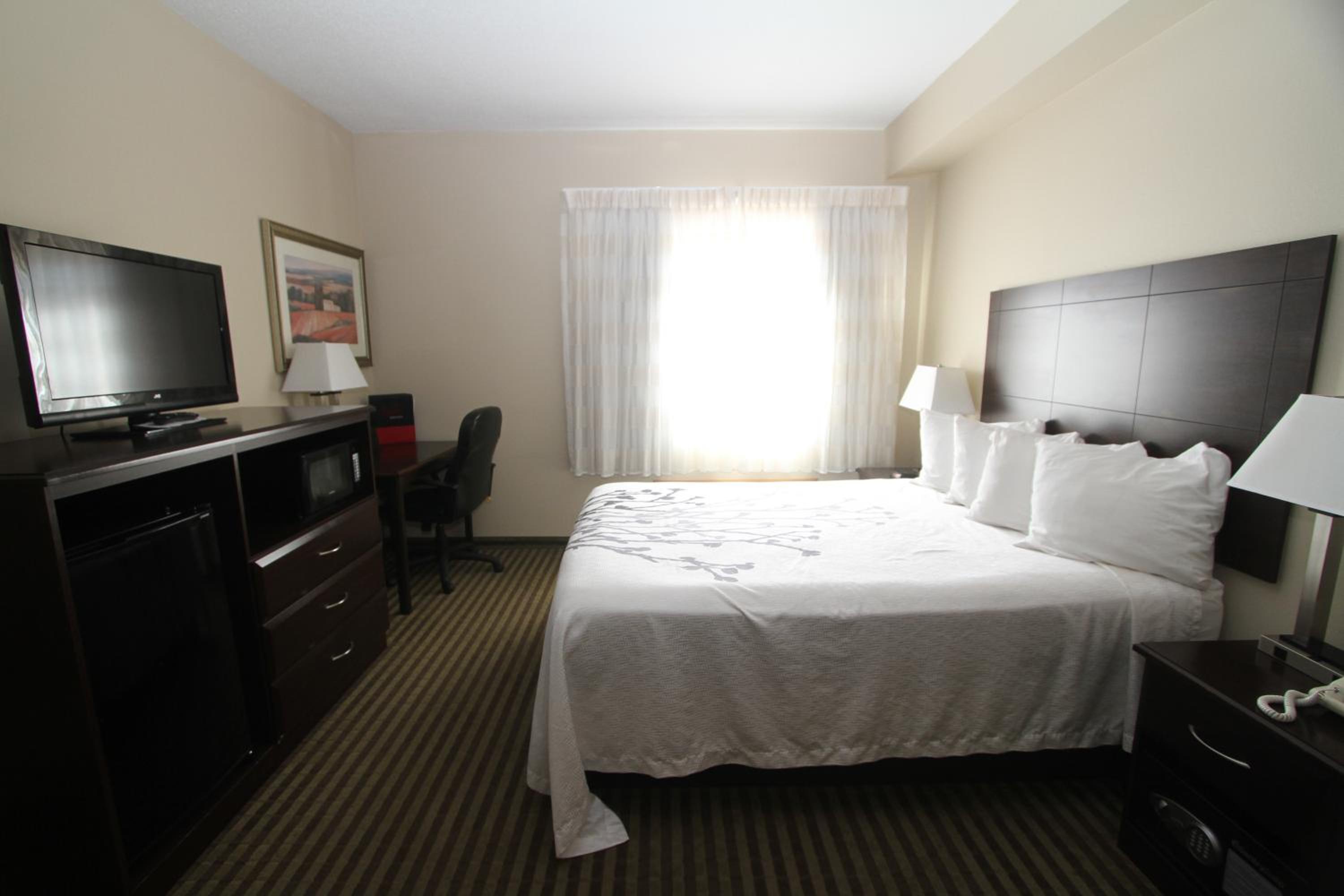 Queen Room - Disability Access photo 2