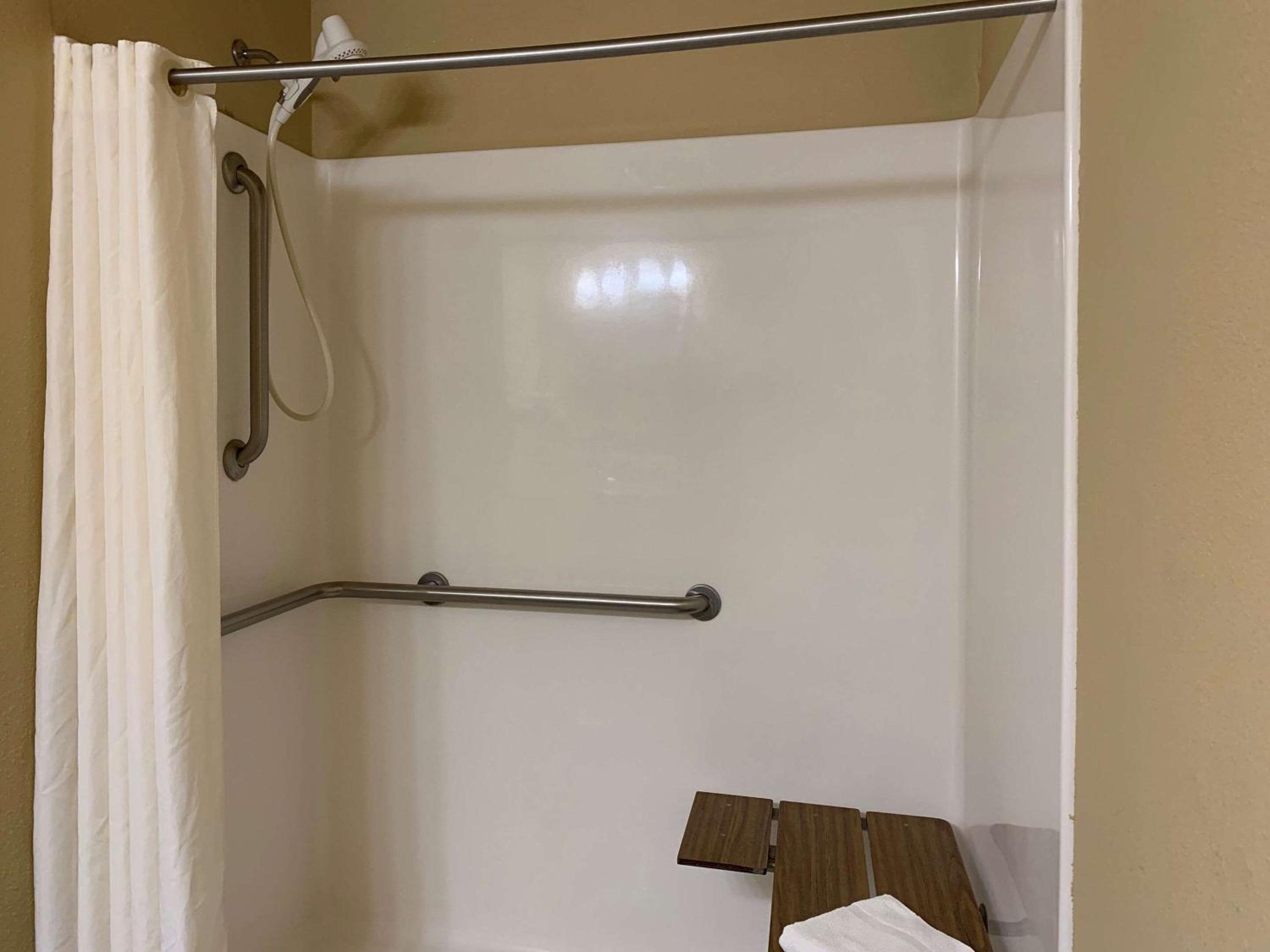 King Room with Roll-In Shower - Accessible/Non Smoking - Photo 3