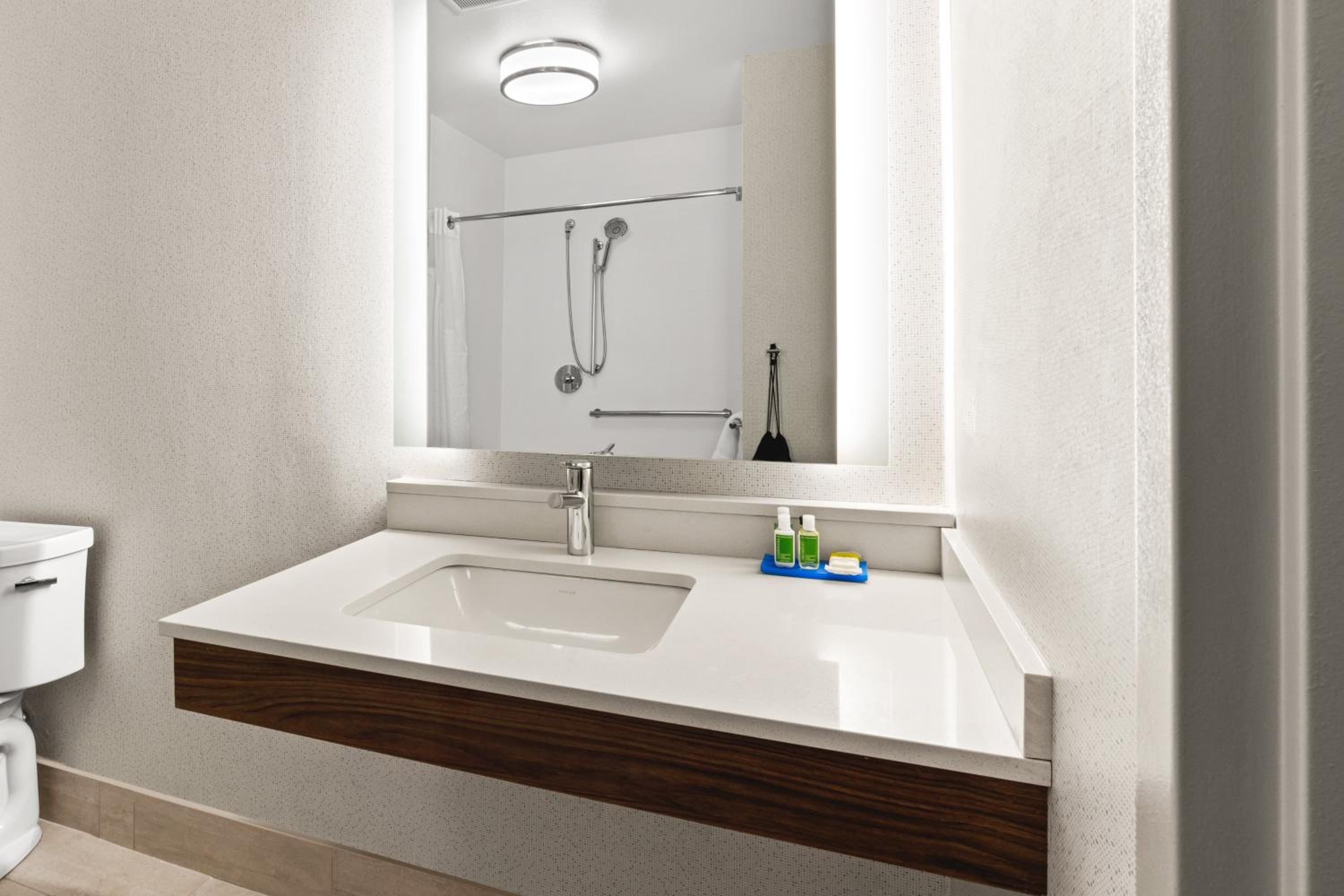 Standard King Room with Roll-in Shower - Communications and Mobility Access - Photo 3