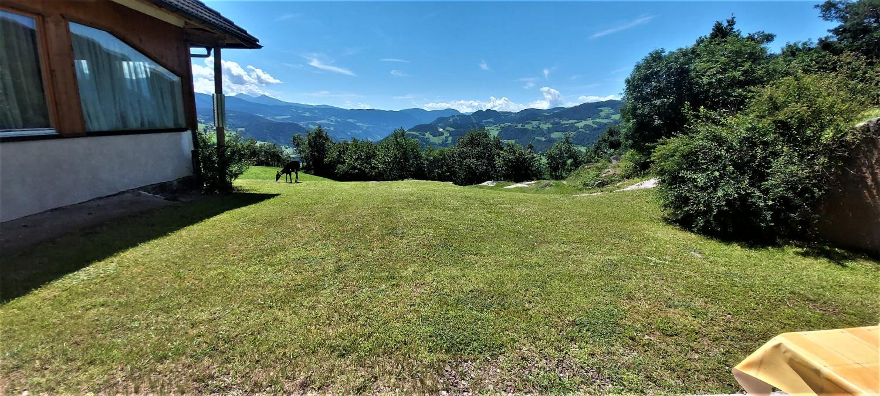 Double Room with Terrace