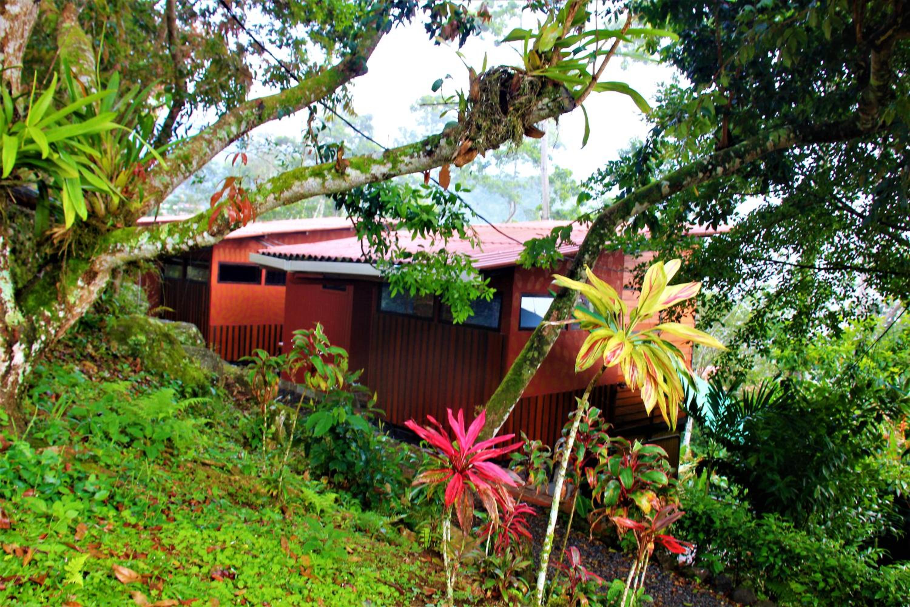 Bungalow With Garden View photo 2