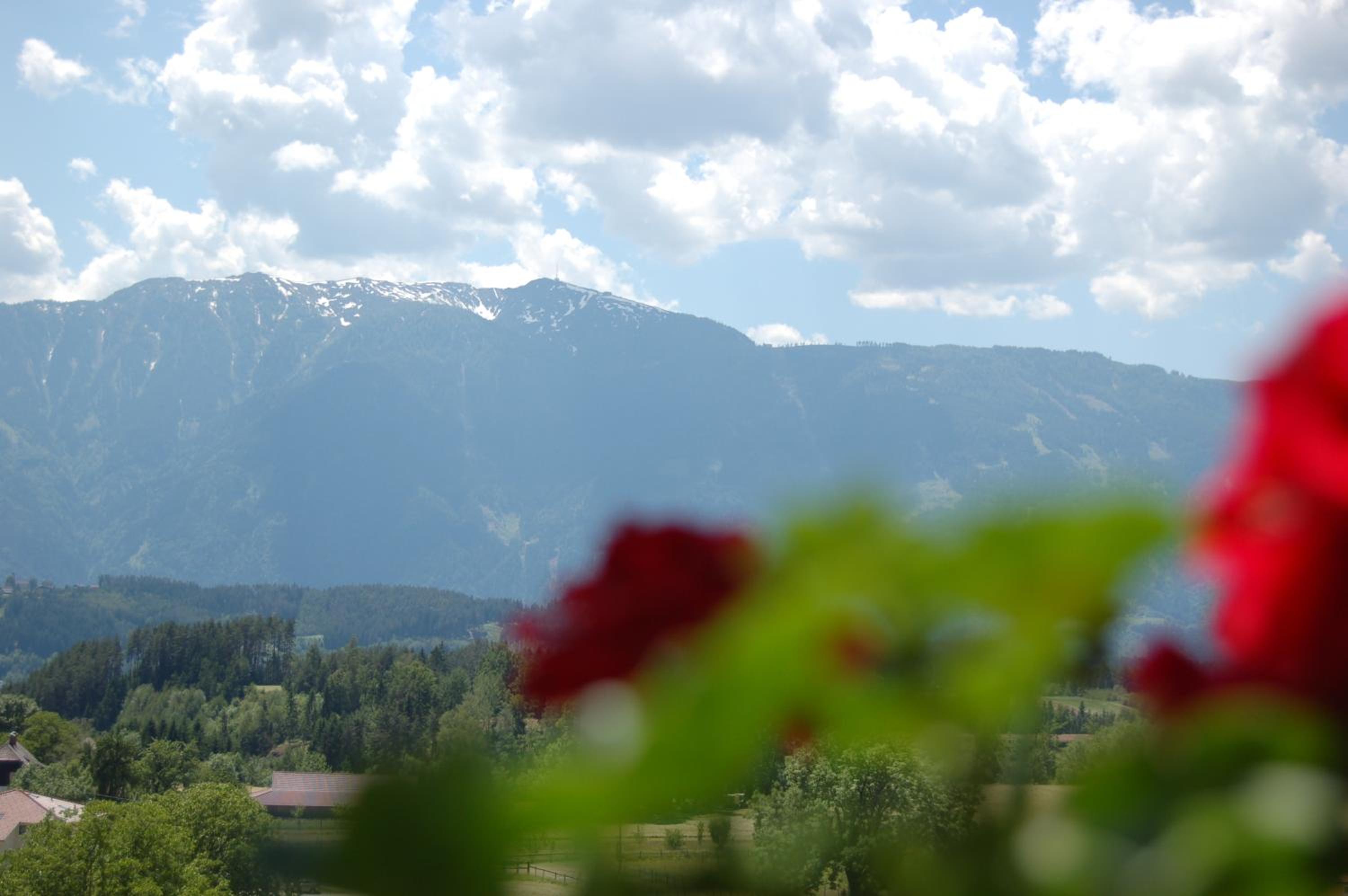 Apartment with Mountain View
