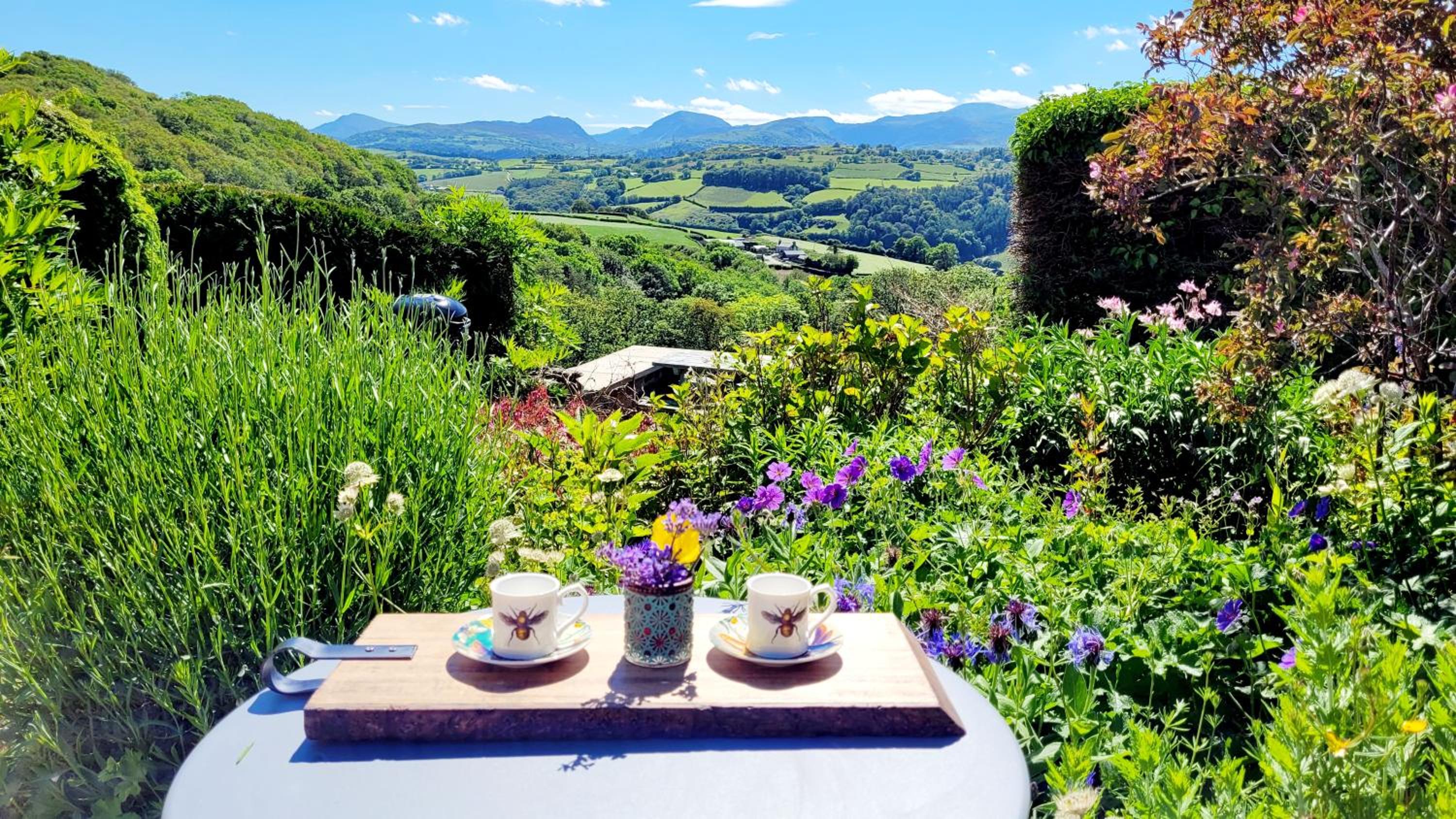 Studio with Mountain View photo 2