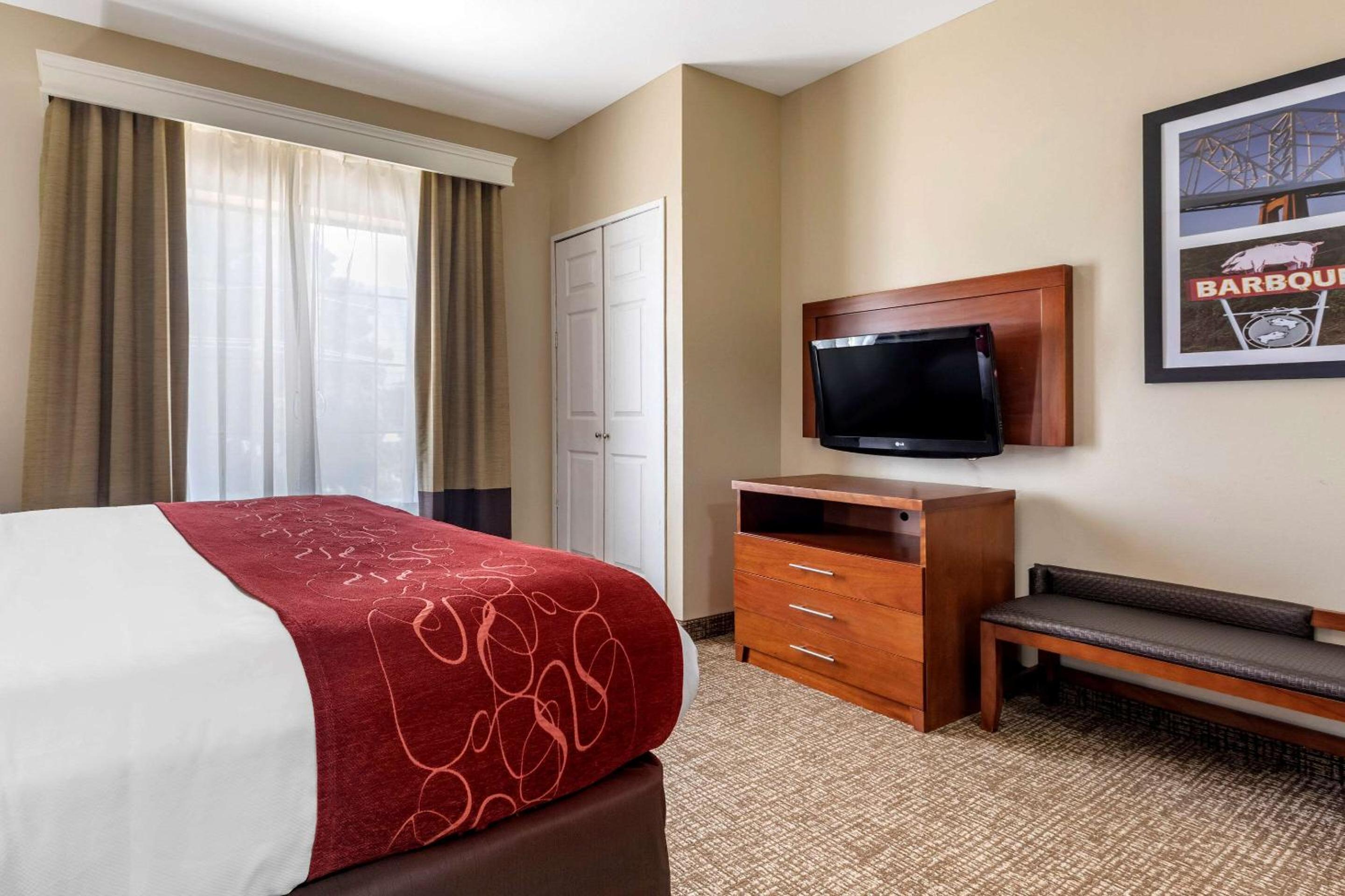 King Suite - Disability Access/Non-Smoking - Photo 8