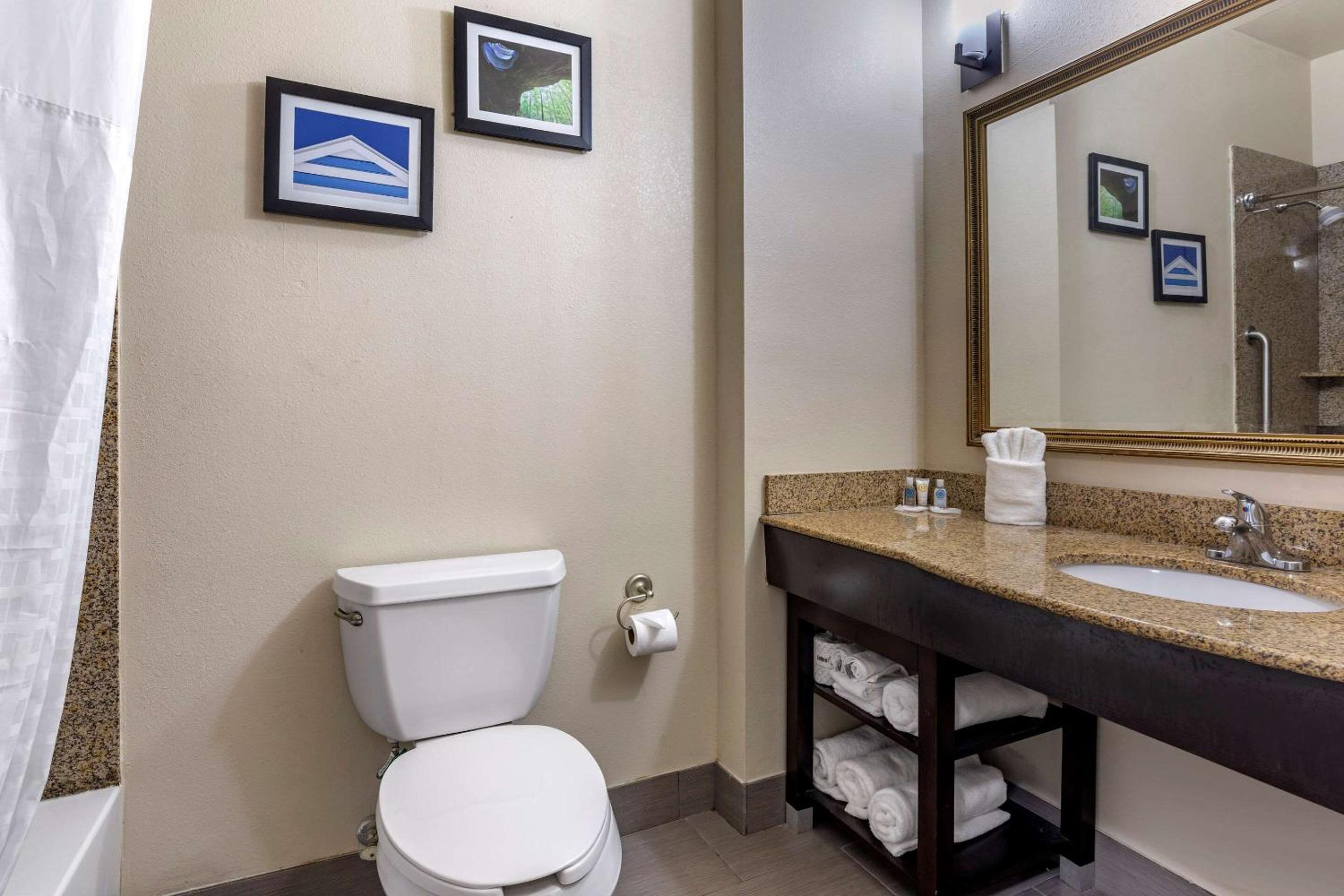 Standard King Suite - Non-Smoking - Photo 8